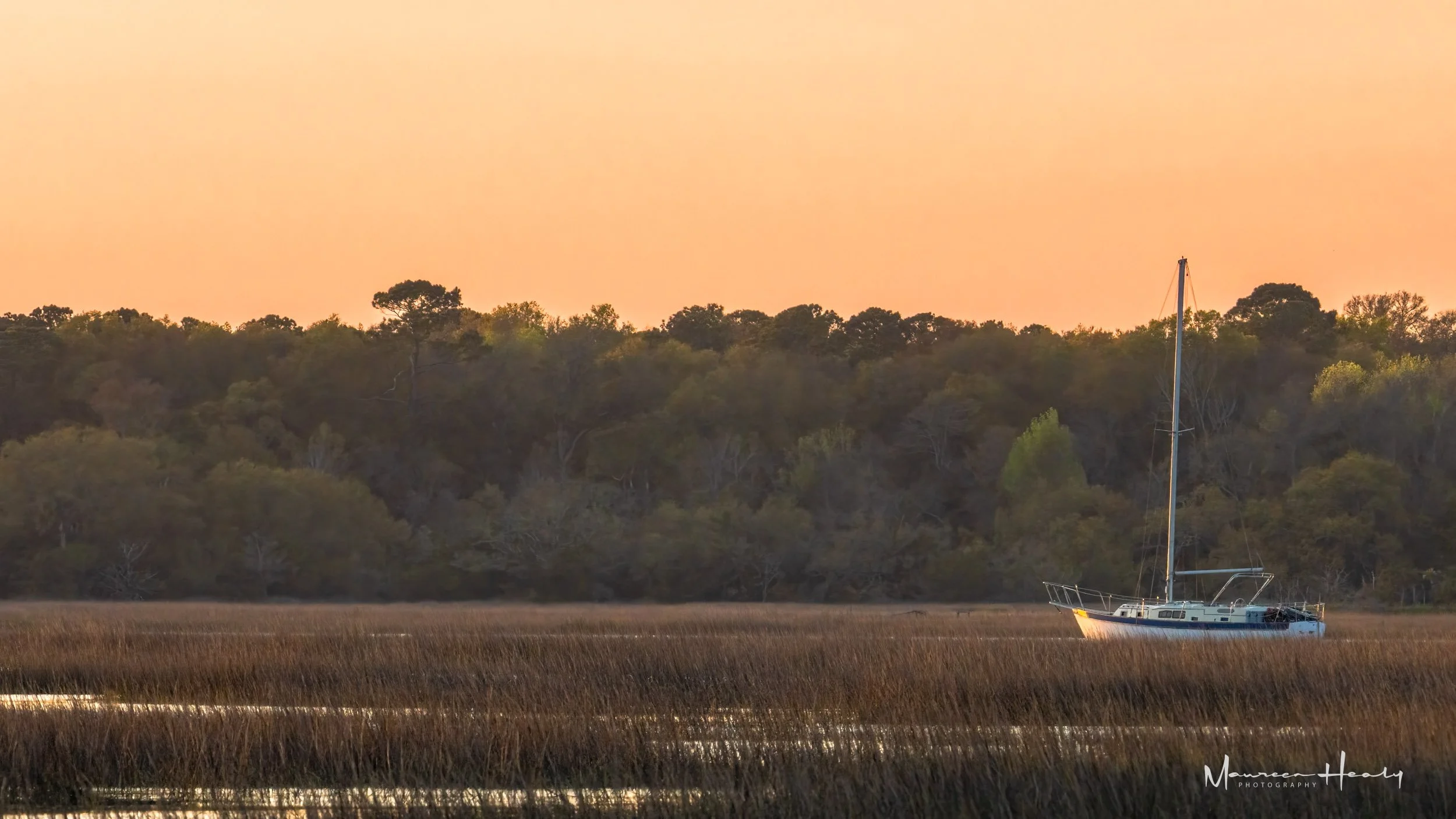 Sunset Mast