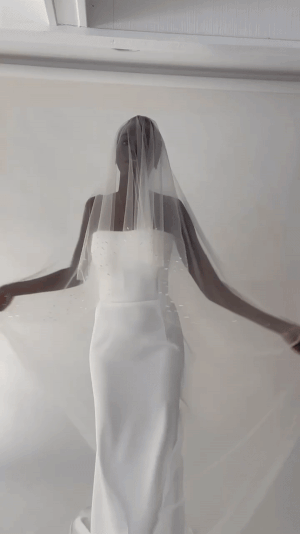 5C174A22-409A-4257-96AD-B85E6ED40236.gif