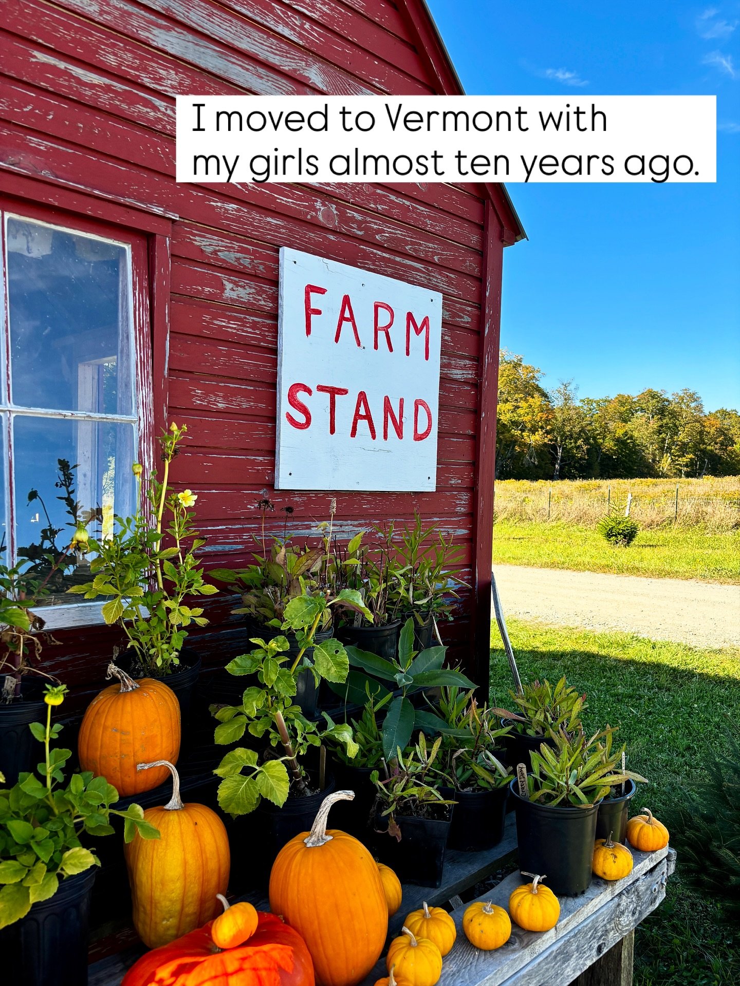 #vermontlife #plantmedicinemagic #rosemarygladstar #womencirclesheal