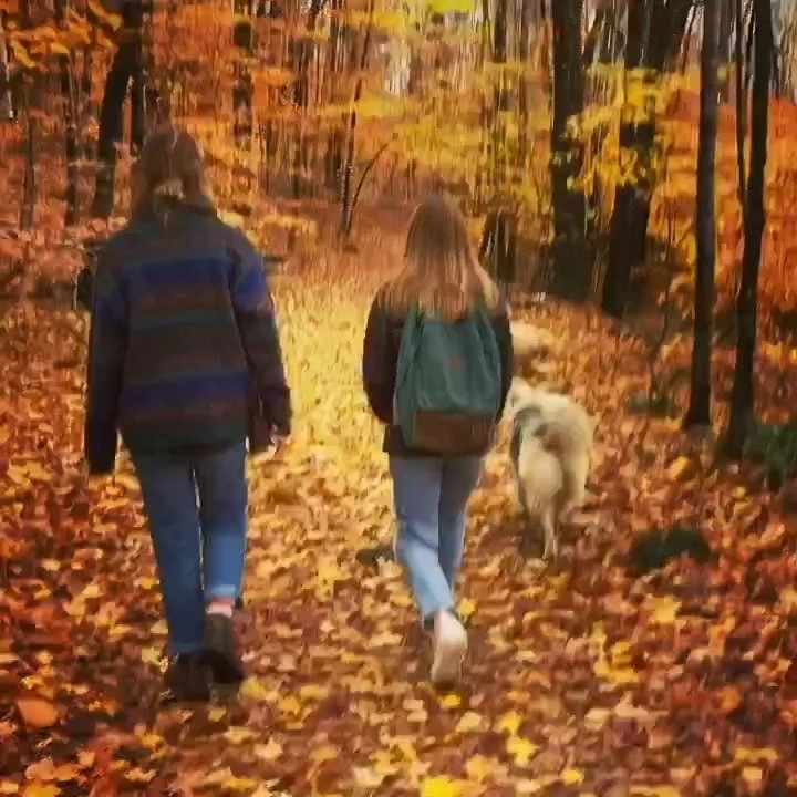 It&rsquo;s the glory time of the year, forest and field are giving us their sweetest gifts, and we just got a cancellation for the weekend of October 13. Come join us! 🍂🧡