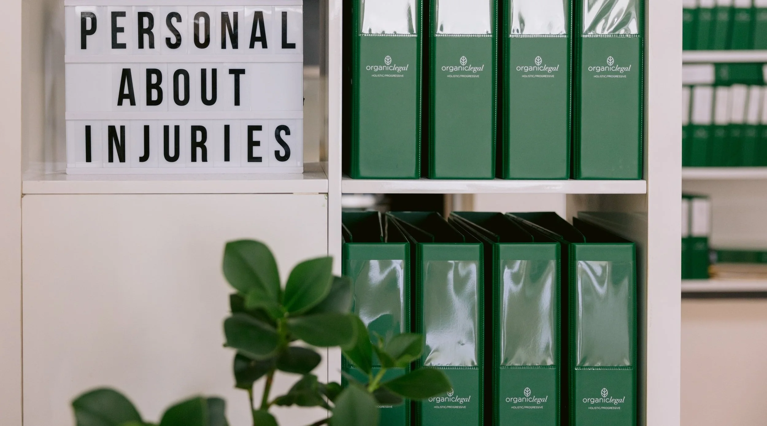 About 4 — Organic Legal