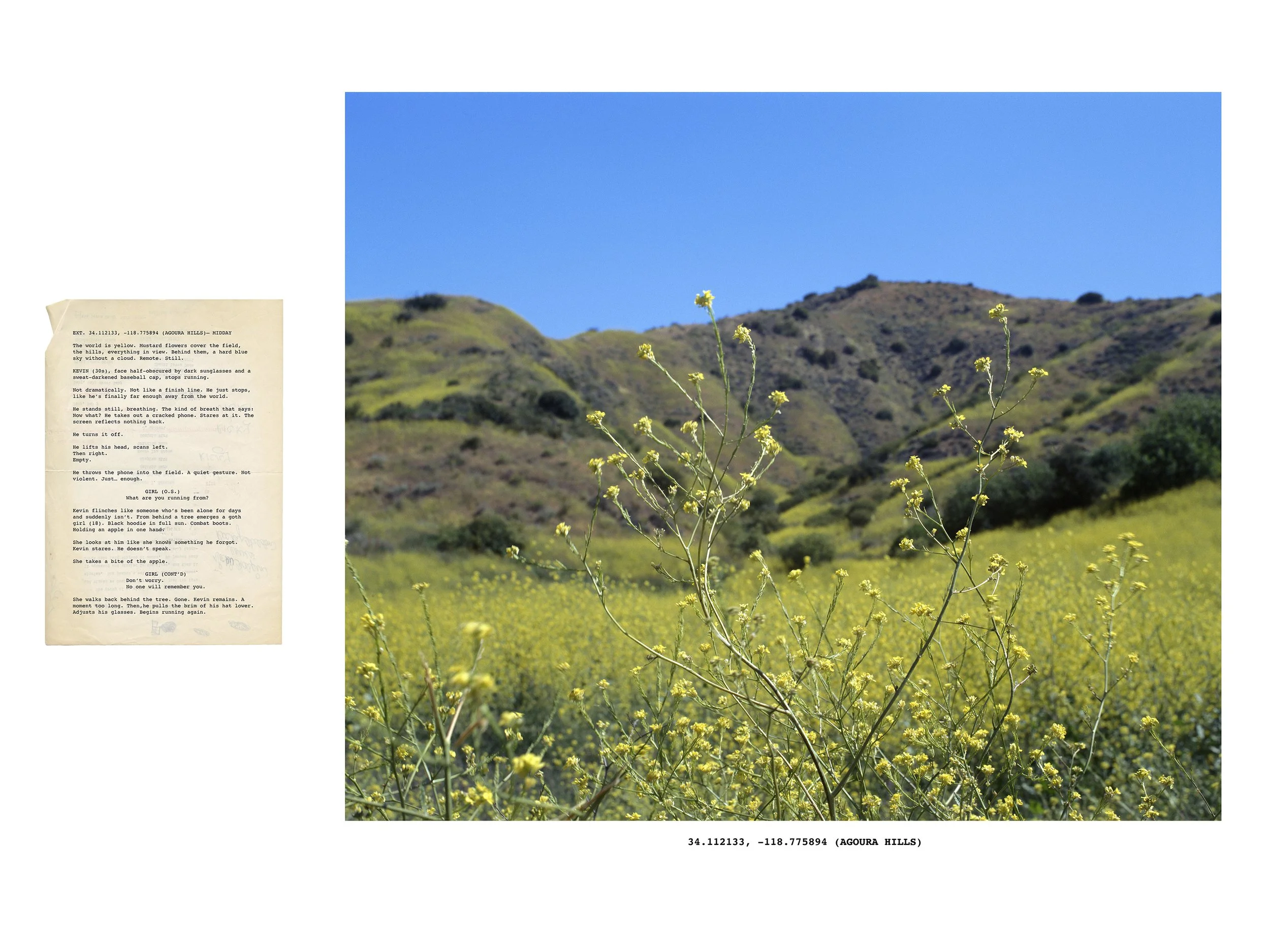 3-Withstandley-AgouraHills.jpg