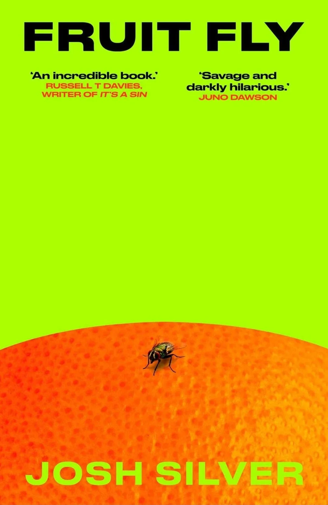 My reflections on Fruit Fly by Josh Silver