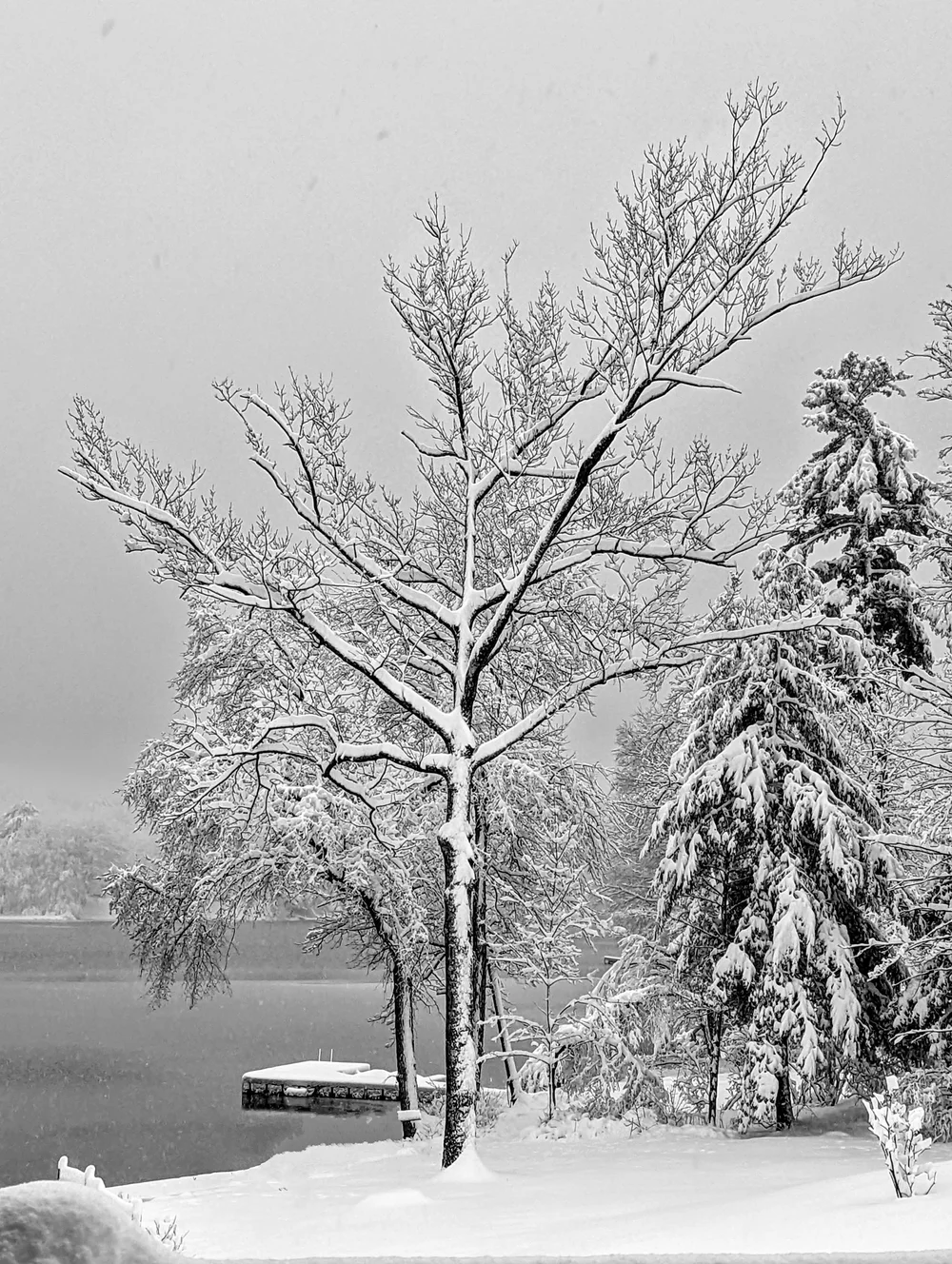 Art Gallery Sand Lake Center For The Arts Art gallery sand lake center for the arts