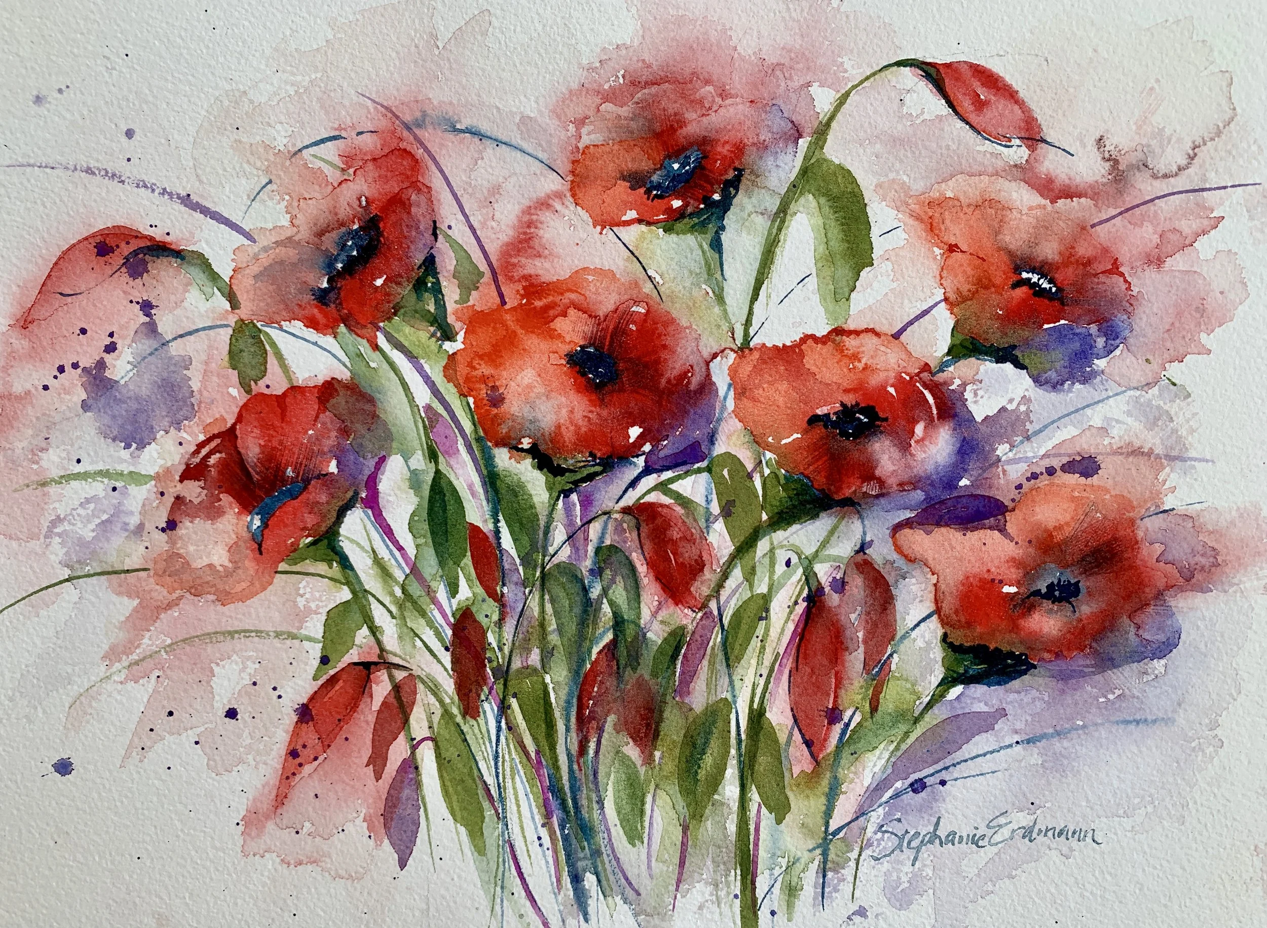 A Baker_s Dozen of Poppies.jpeg