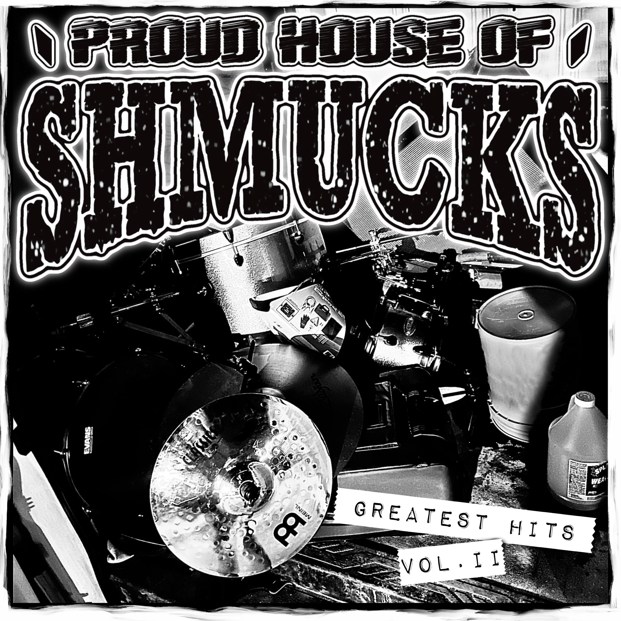 Record for website.jpg