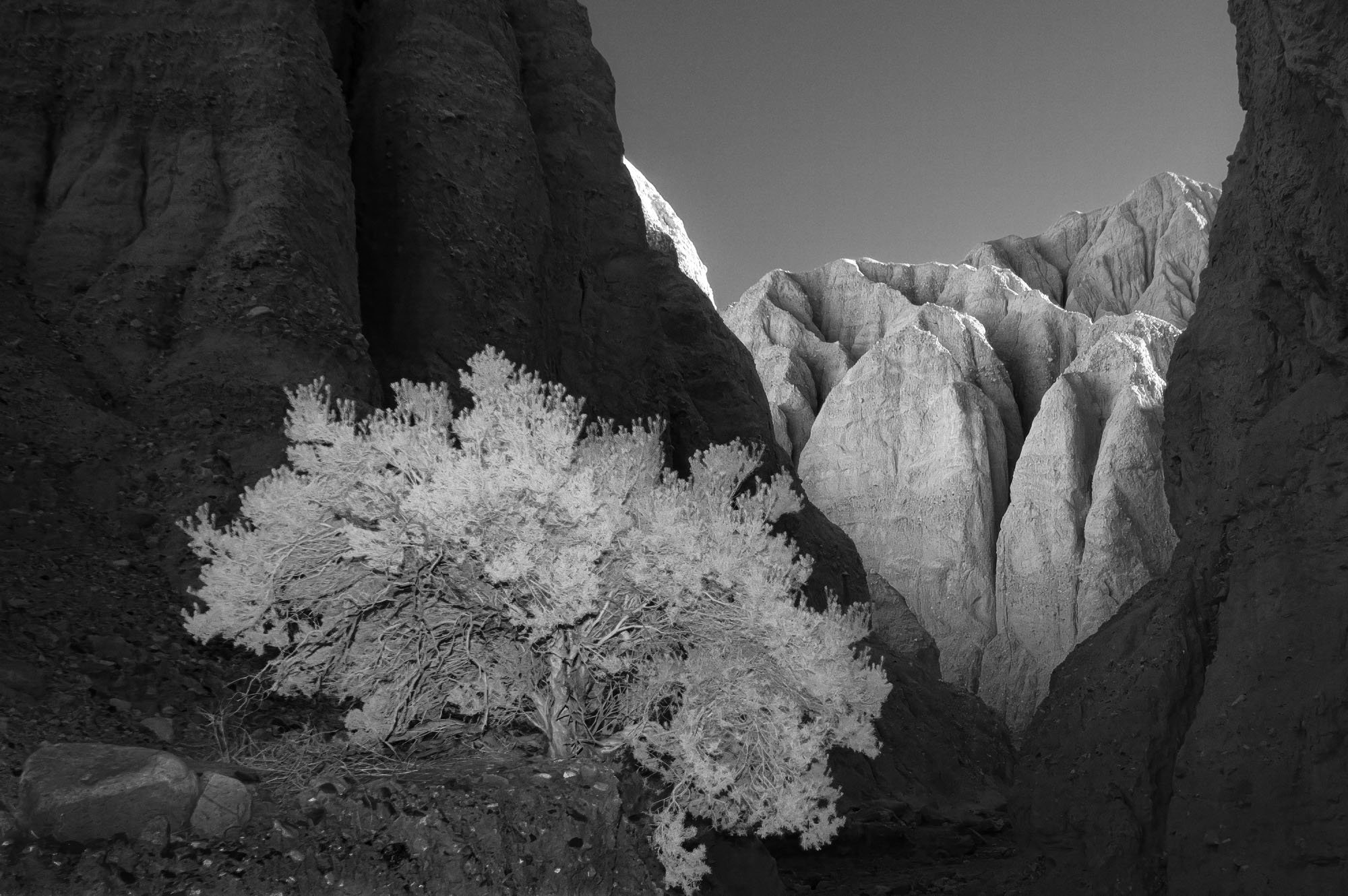 Afton Canyon, California/