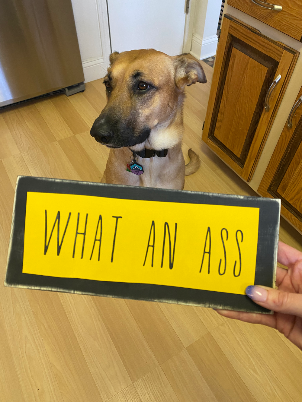 IMG_8203.png