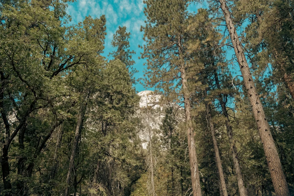 DSC_0961.jpg