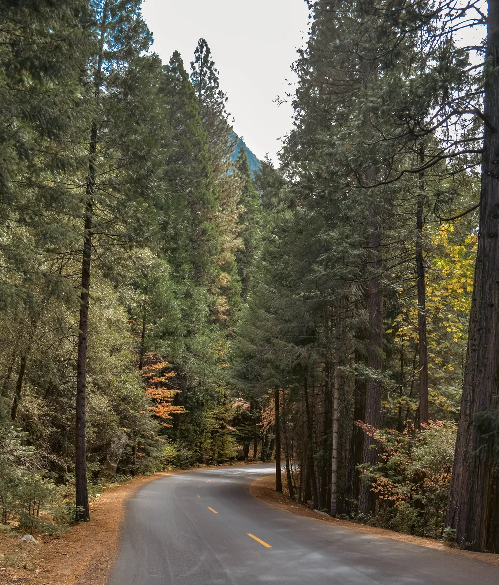 DSC_0971.jpg