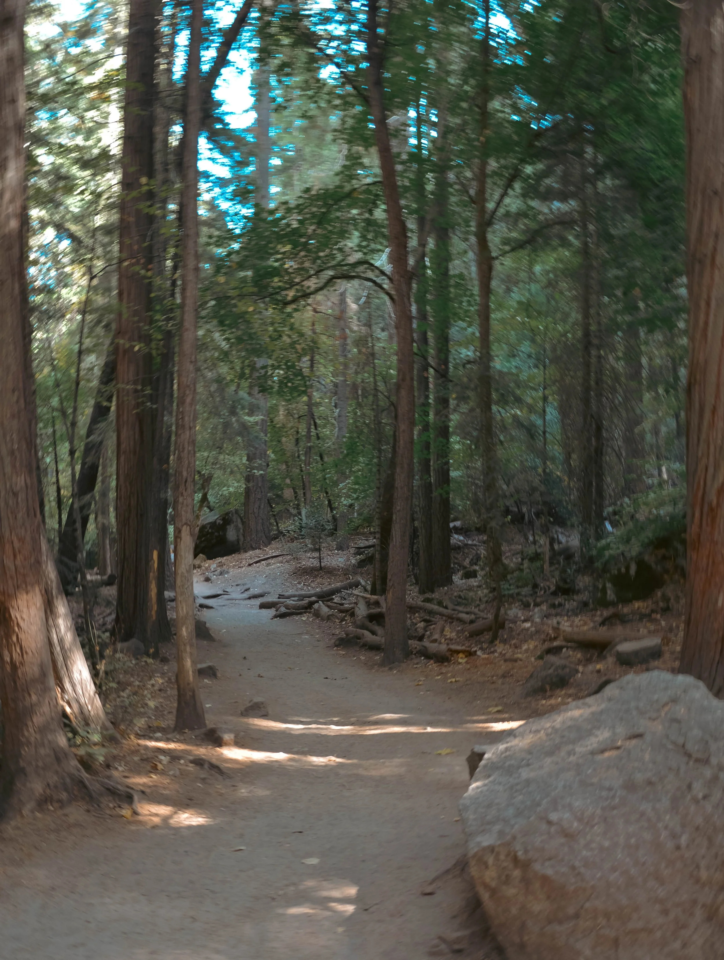 DSC_0934.jpg