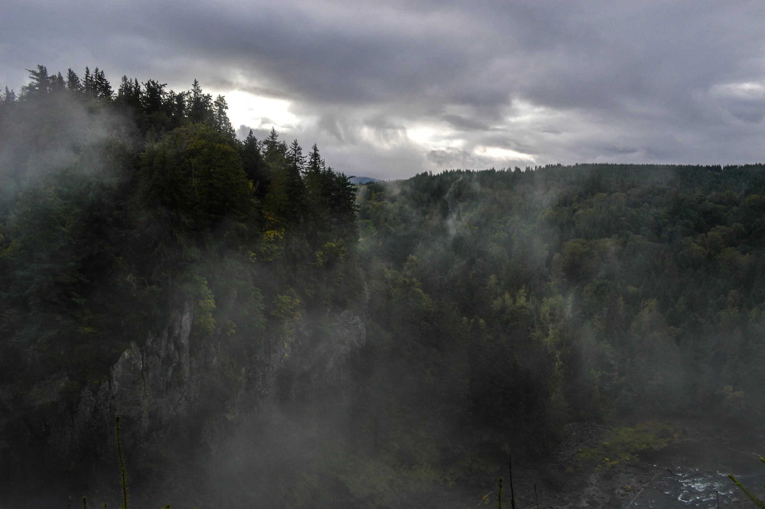_DSC0478.jpg