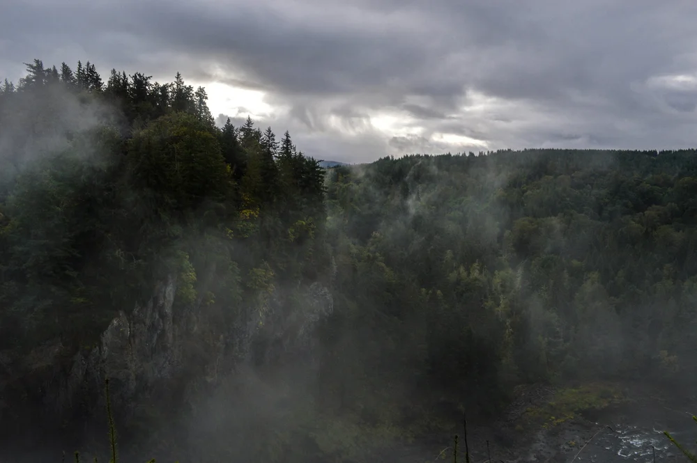 _DSC0478.jpg