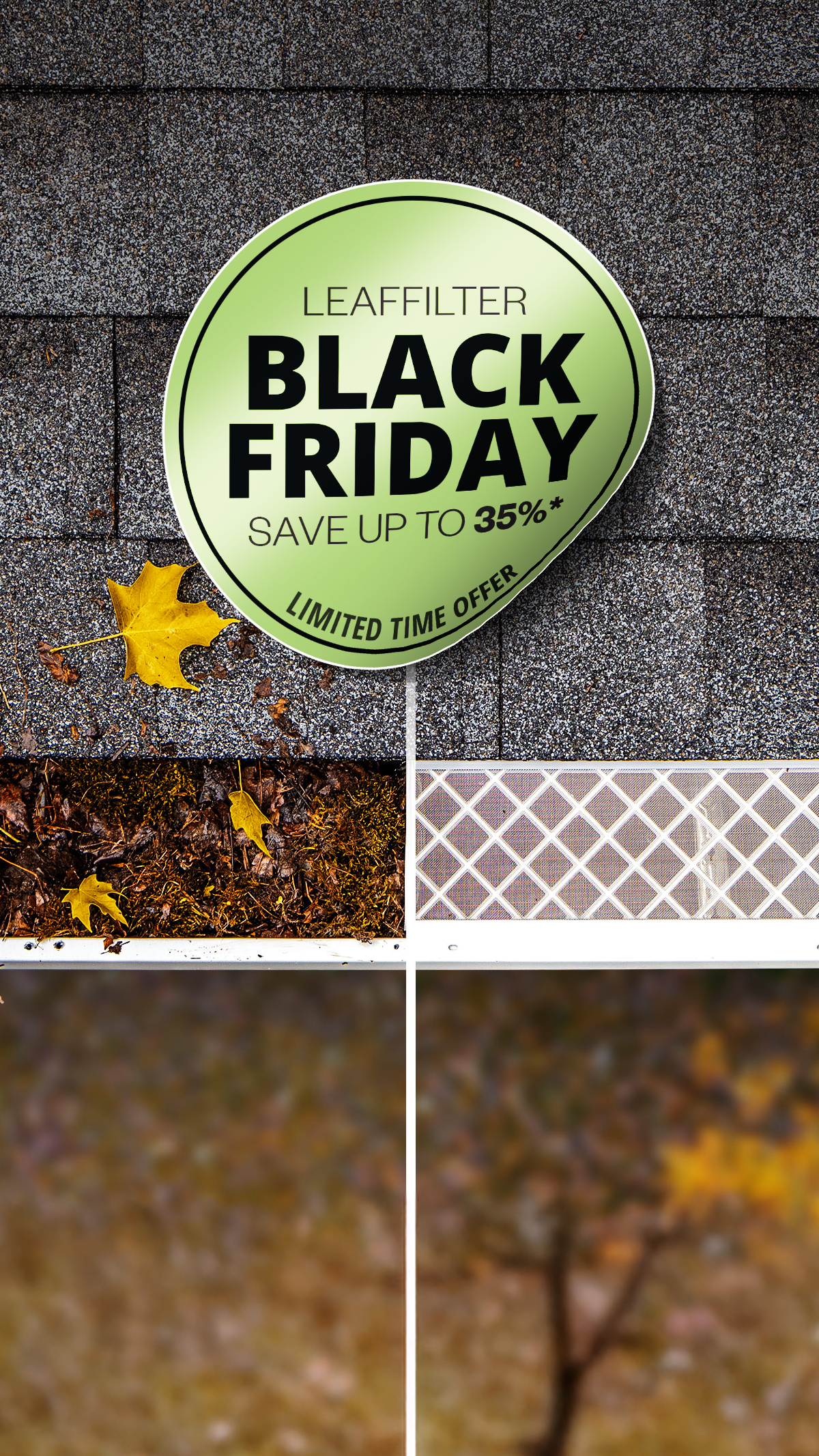 LF-FB-D0149-2025-11-Promo-Black-Friday-DEC-Core-ETP-Before-After-Close-Up-9x16.png