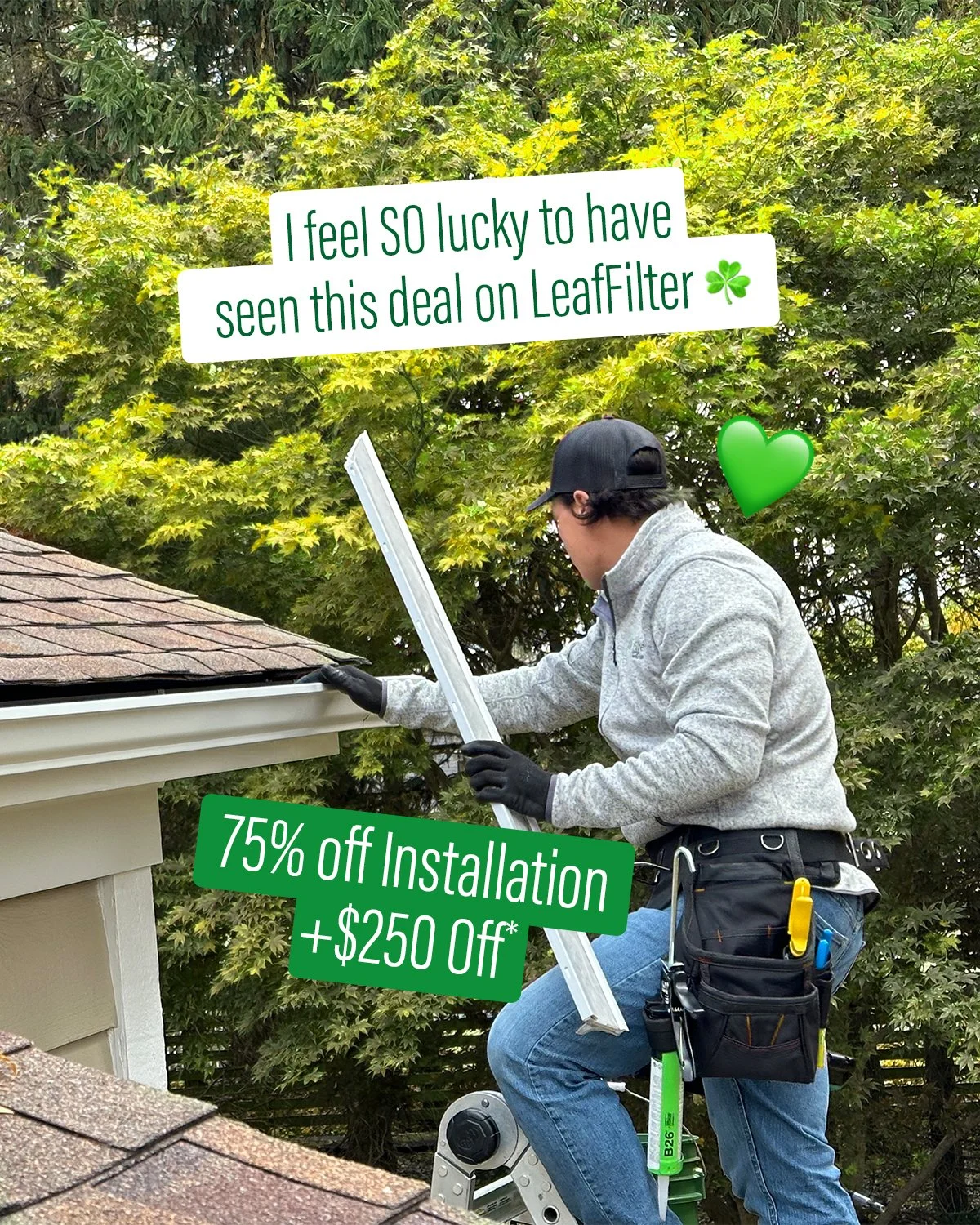 Heritage LeafFilter