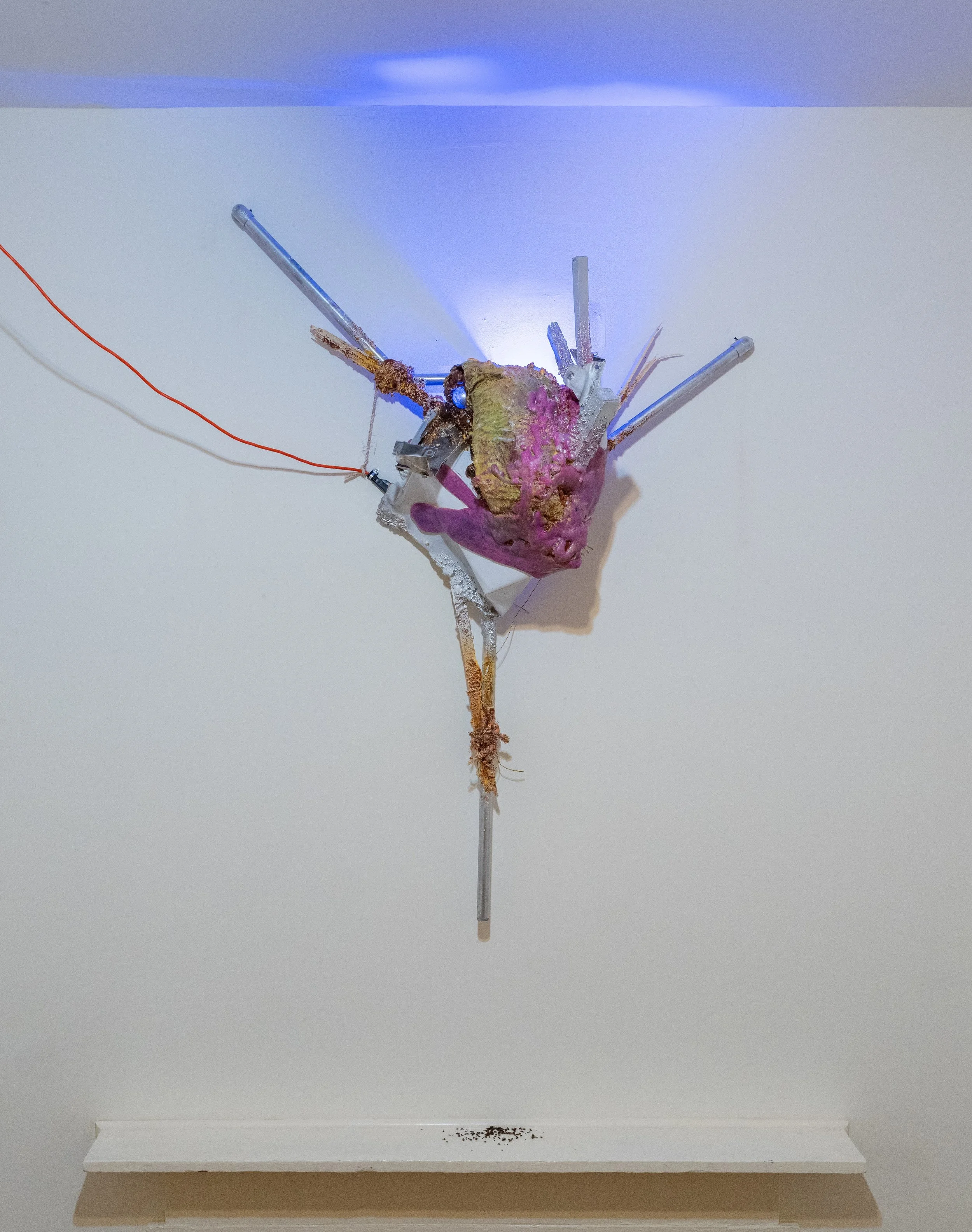 Jason Kash: Mesolimbic Effigy, 2025. Mixed media, found objects, bug
zapper, electrical cord, and PVC.