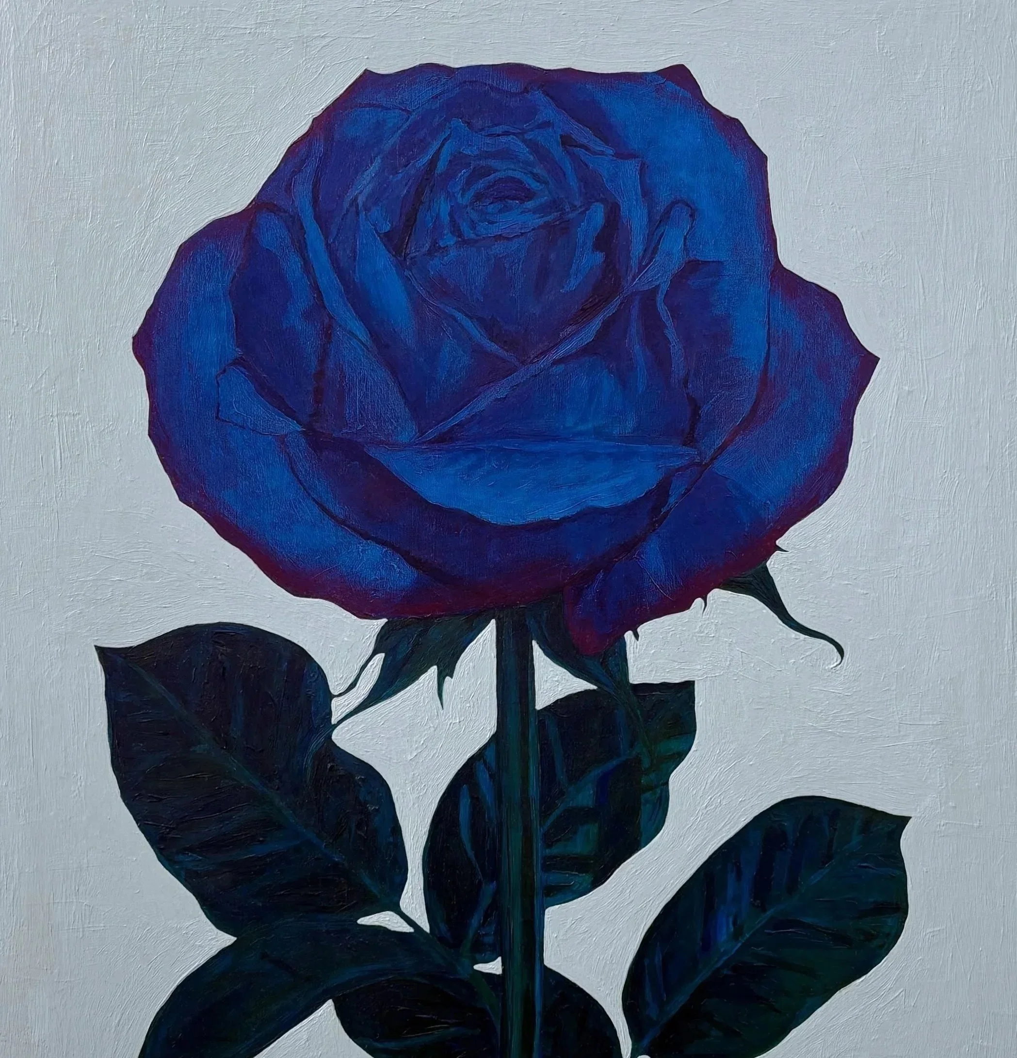 Camila Galaz: Diskette//Rosette