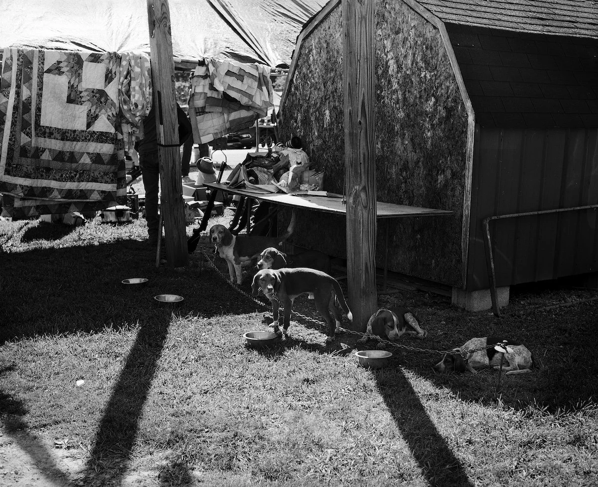 Photographs10.jpg