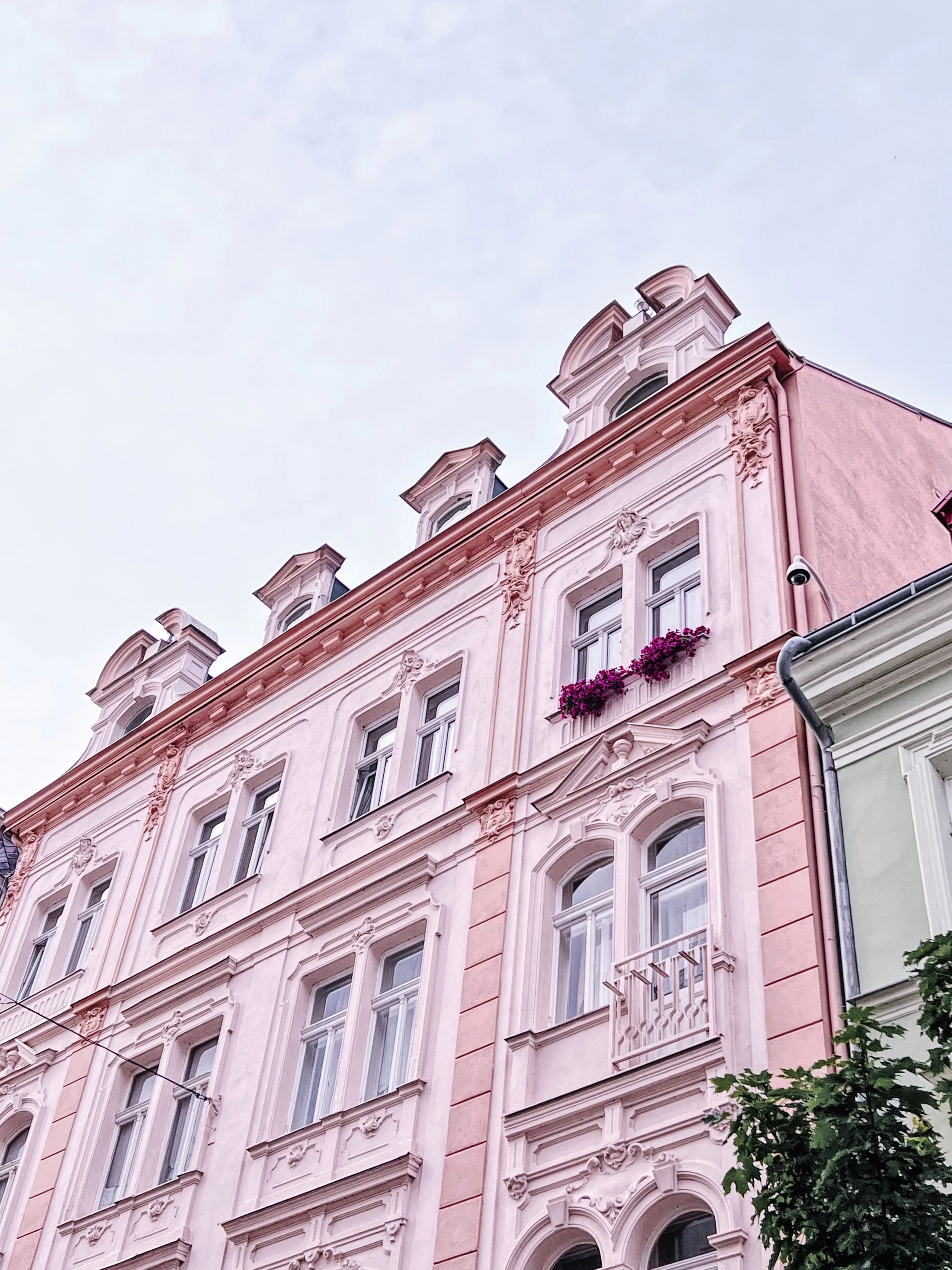 Pink Houses
