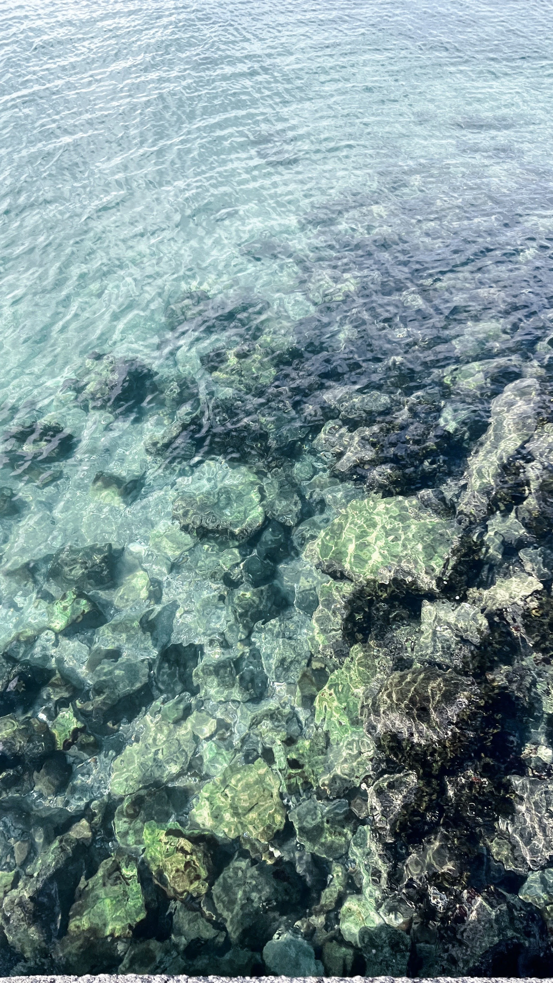 Seafoam