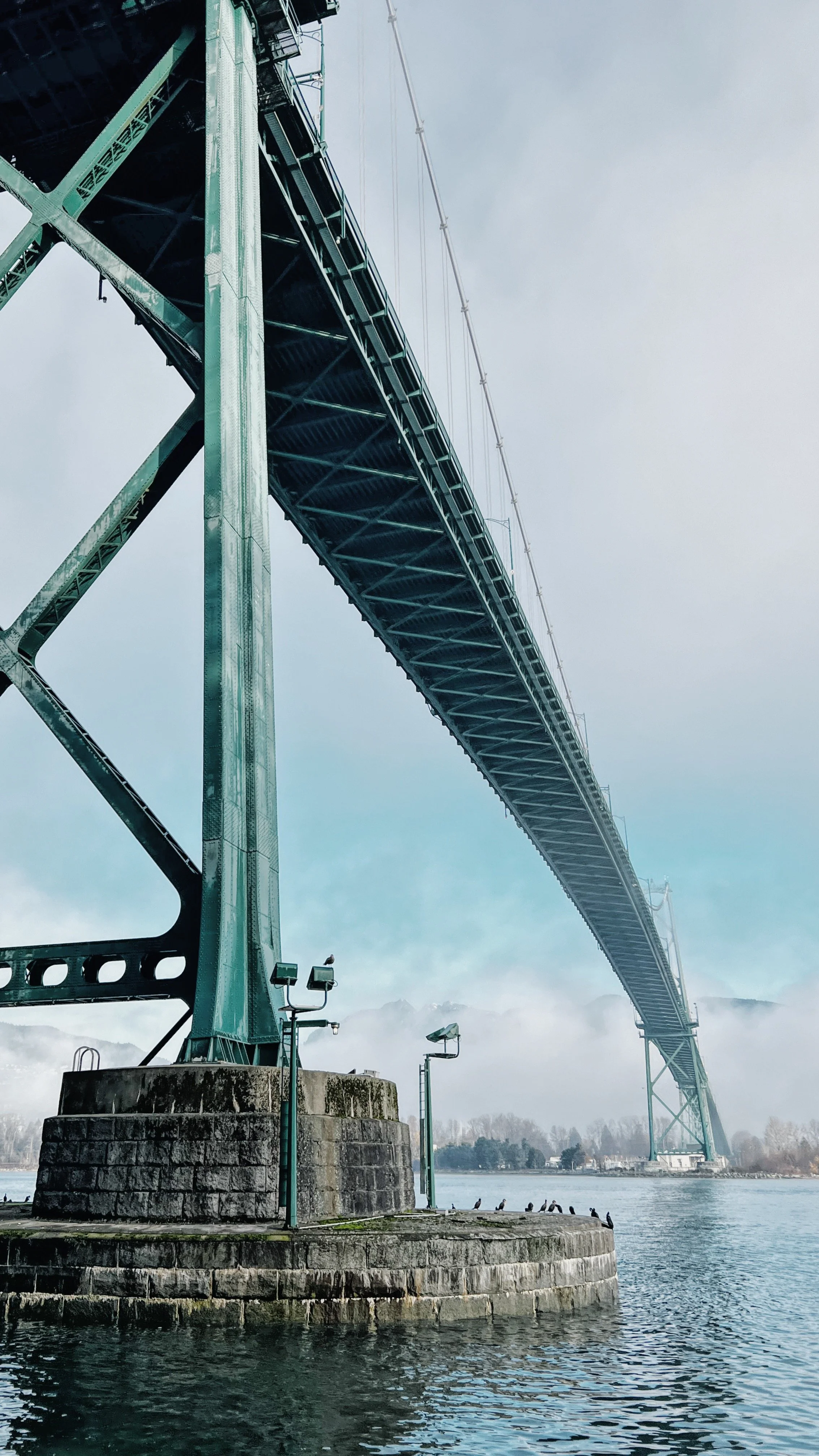 Under The Bridge