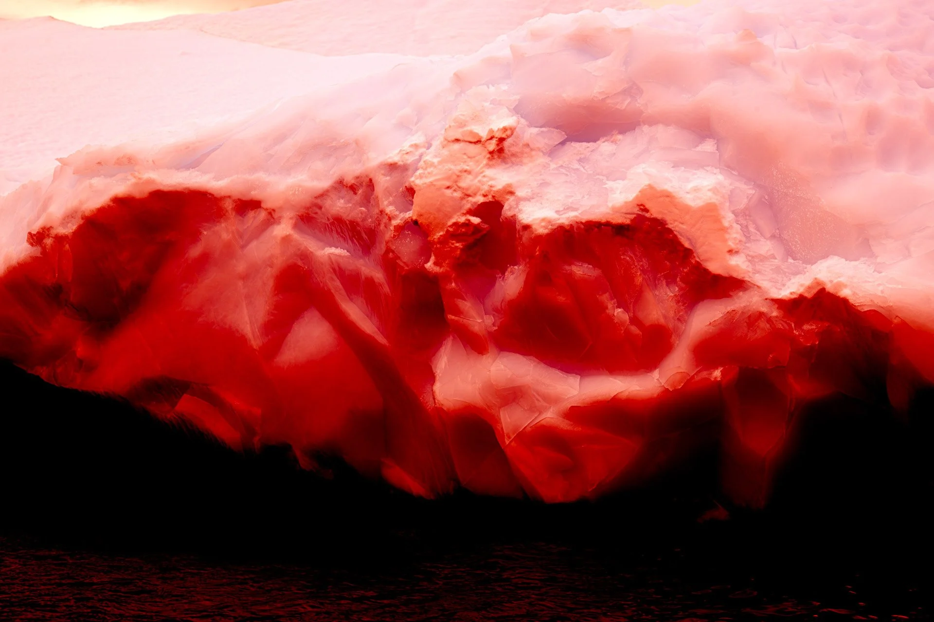 _DSC4053-Enhanced-NR-Negative Color Negative-Edit.jpg