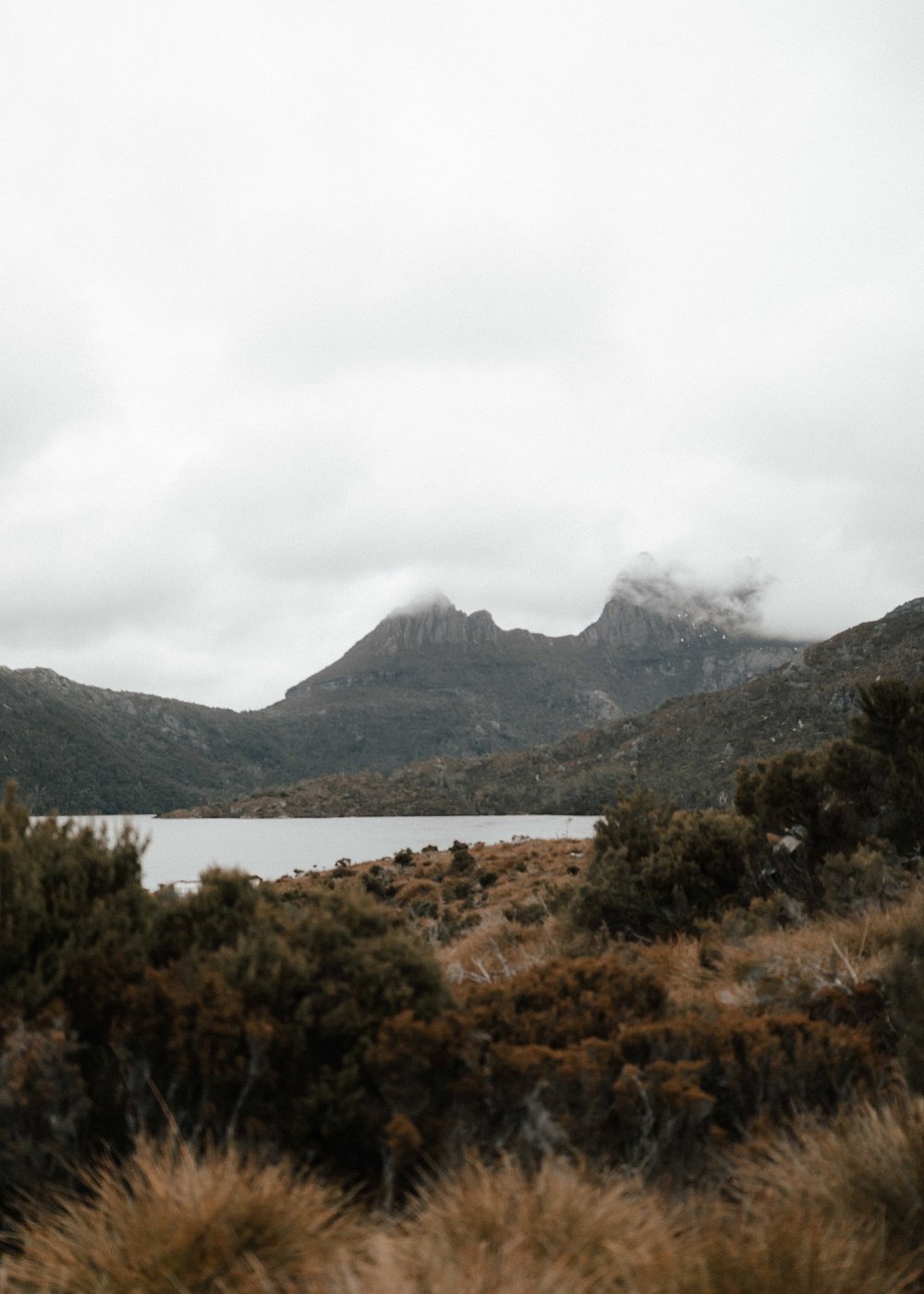 A&J.Elopement.wedding.Tasmania.Cradle.mountain.hobart-45.jpg