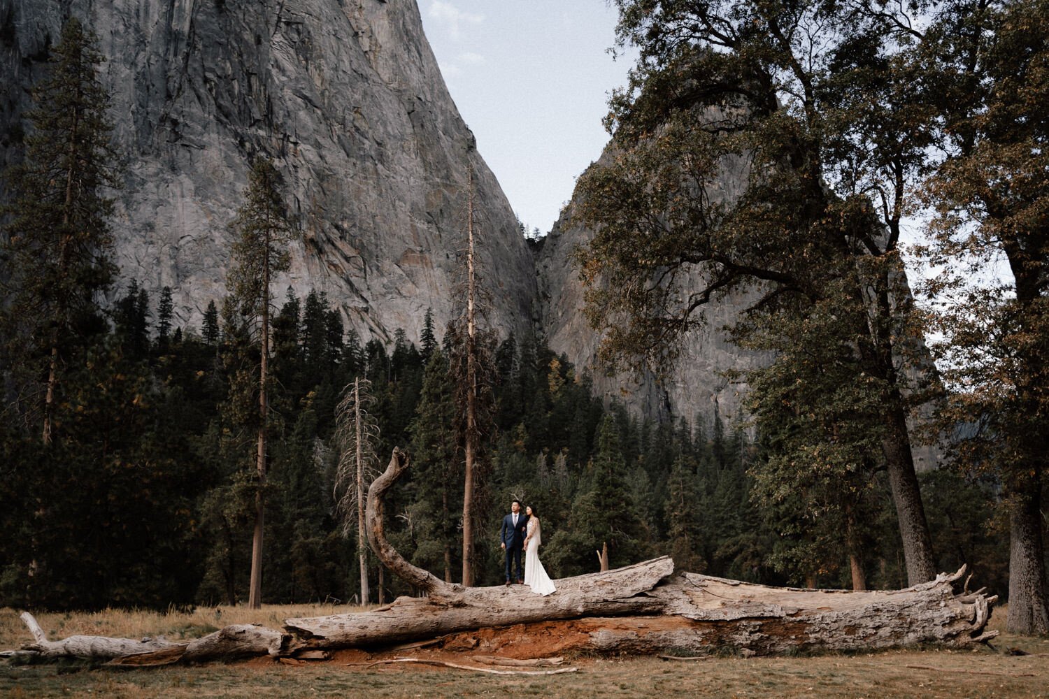Yosemite+USA+Elopement+Wedding+Bulb+Creative-41.jpg