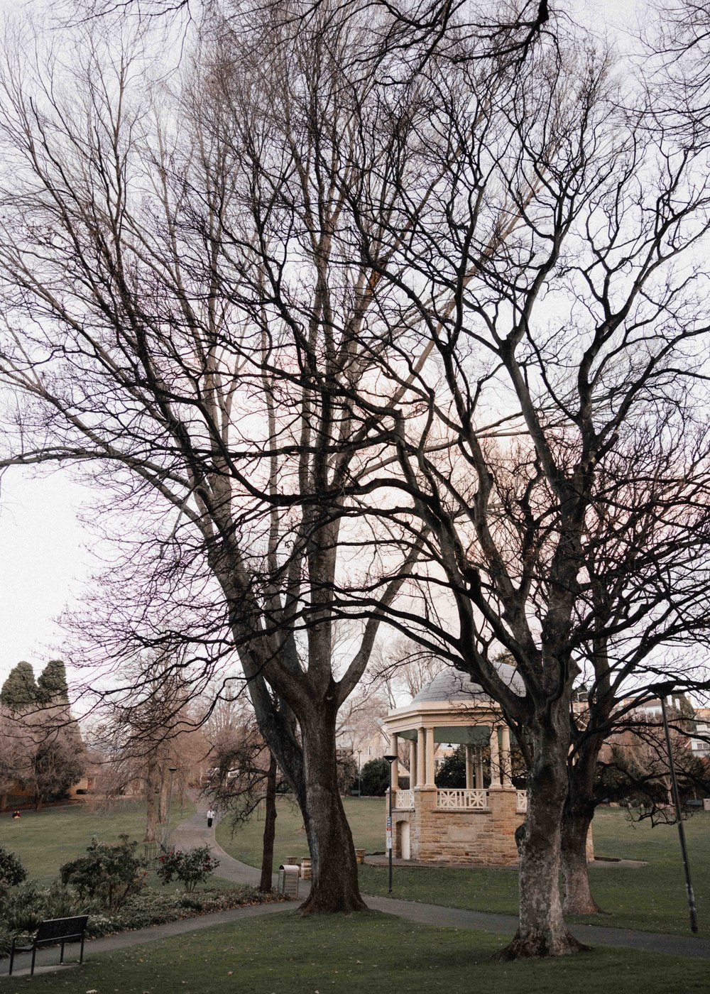 P&N.Elopement.Tasmania.Hobart.Wedding.Photography-42.jpg