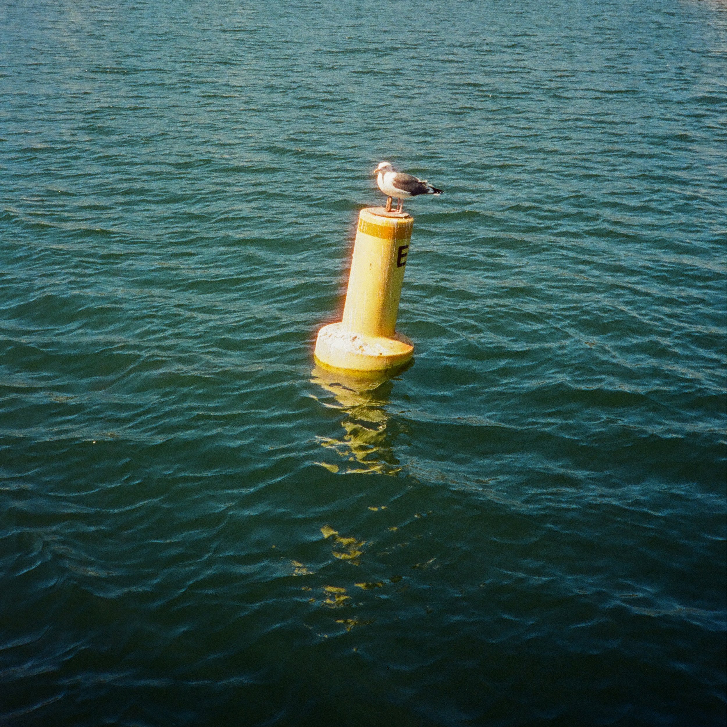 buoy.jpg