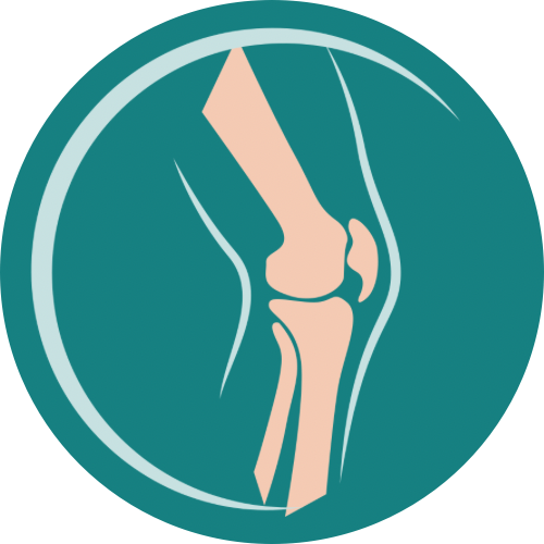 X-ray stylized icon image of knee area