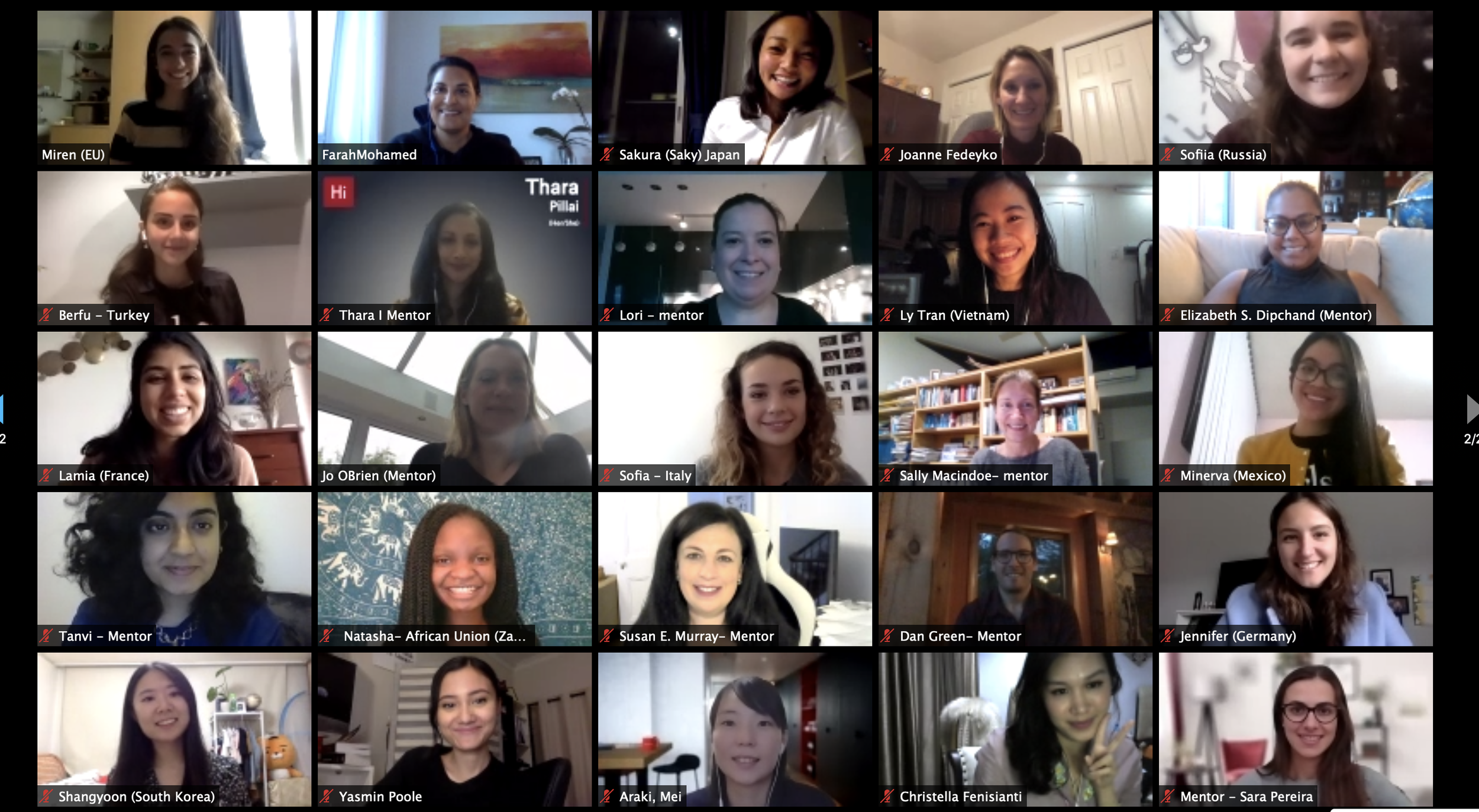 Summit zoom Call 2020_2.png