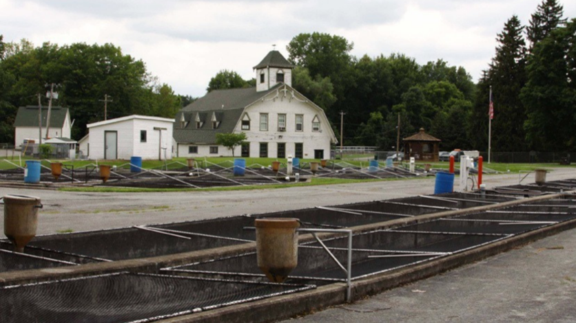 Fish Hatchery.png