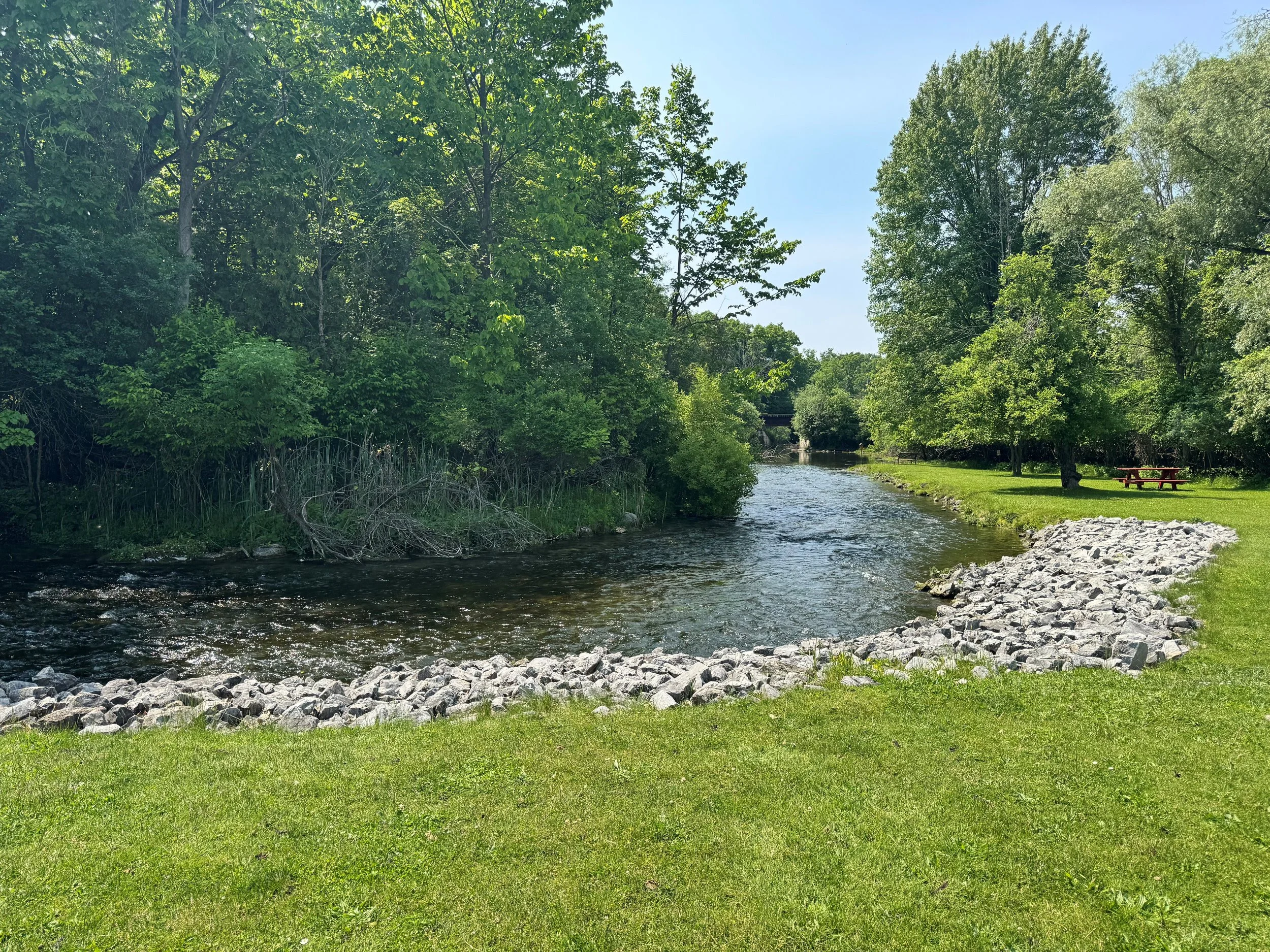 fish hatcher creek.jpg