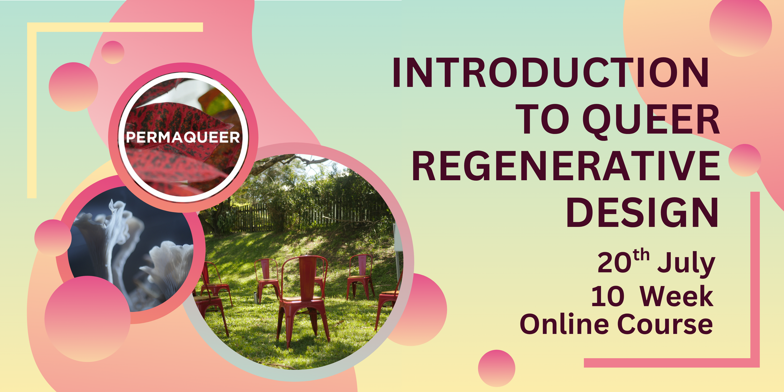 Queer Regenerative Design July 20th 2026
