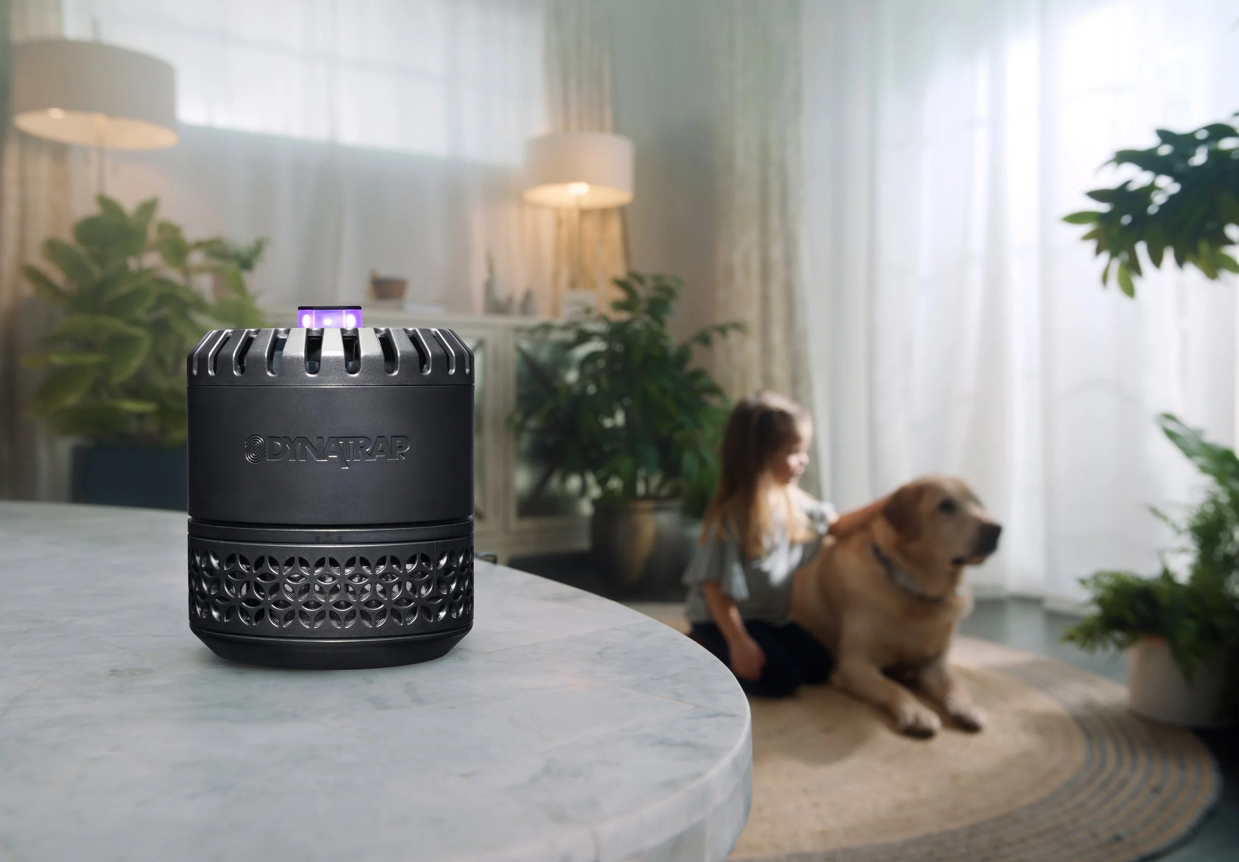 Indoor Insect trap with a kid and dog