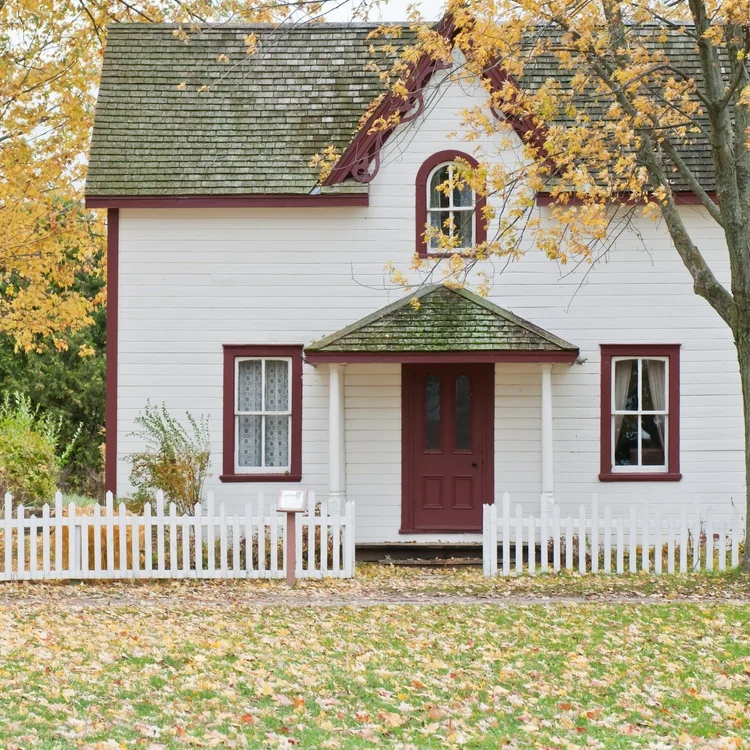 Matteson Property Management