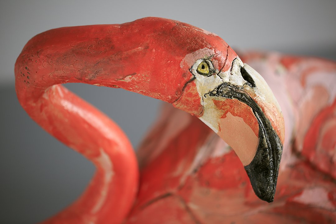flamingo close up.jpg