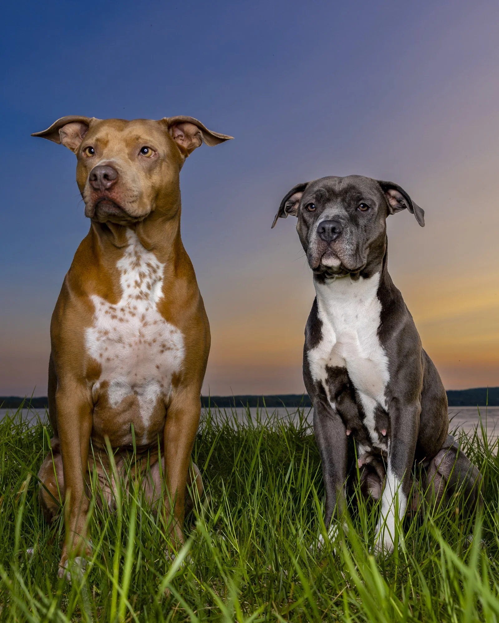 Chauncey & Millie