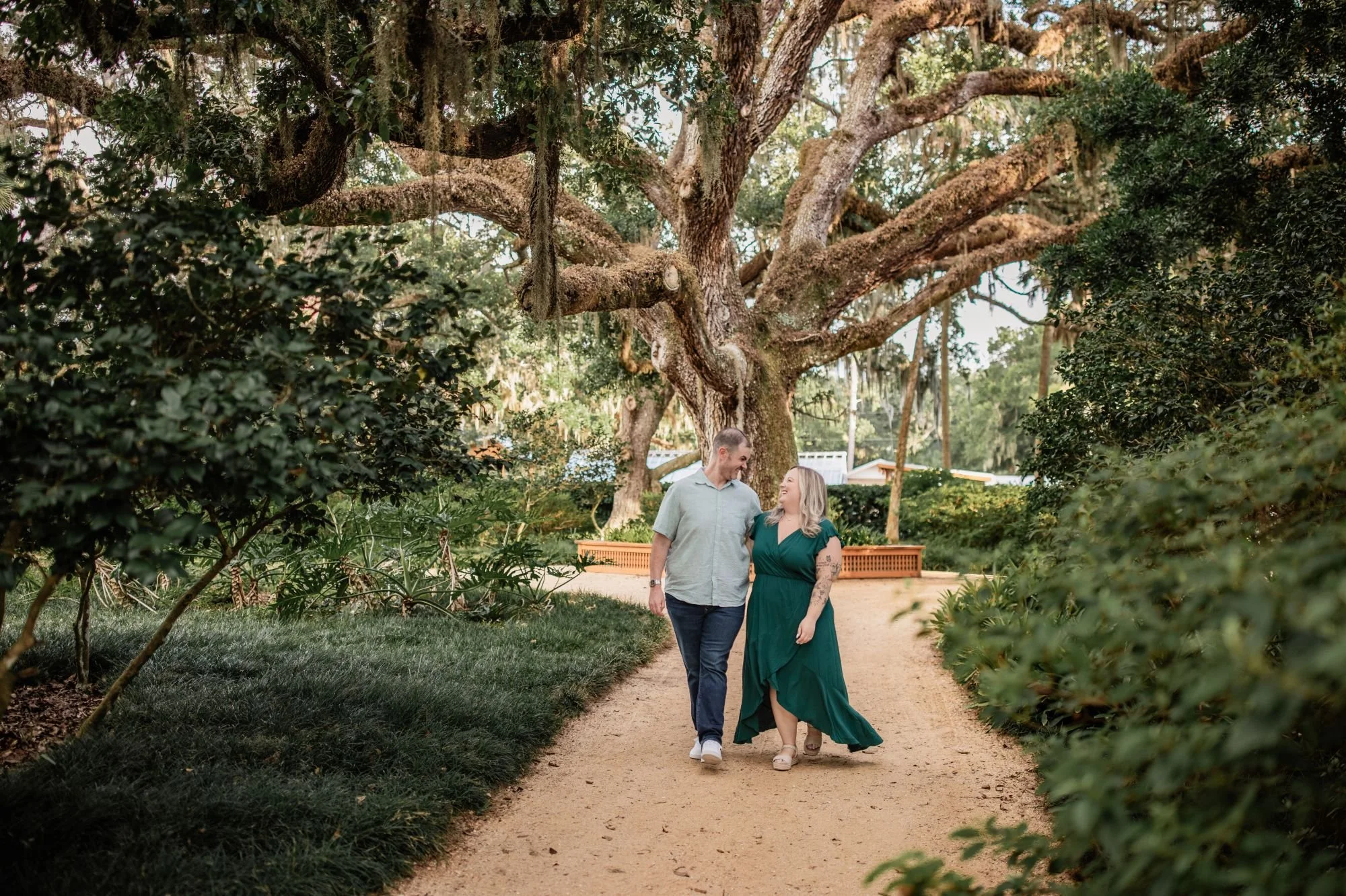 Engaged couple walking together beneath large oak trees at Washington Oaks Gardens State Park.