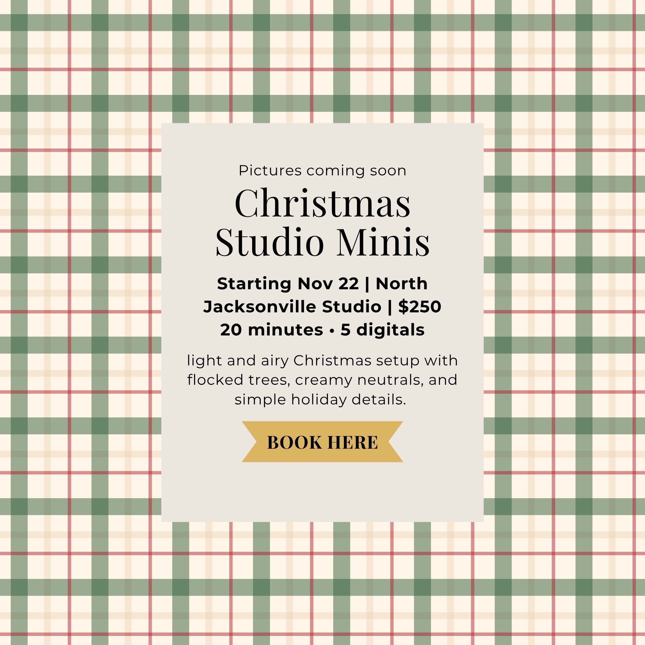 Jacksonville Christmas mini sessions in our Northside photography studio with a bright neutral holiday set.