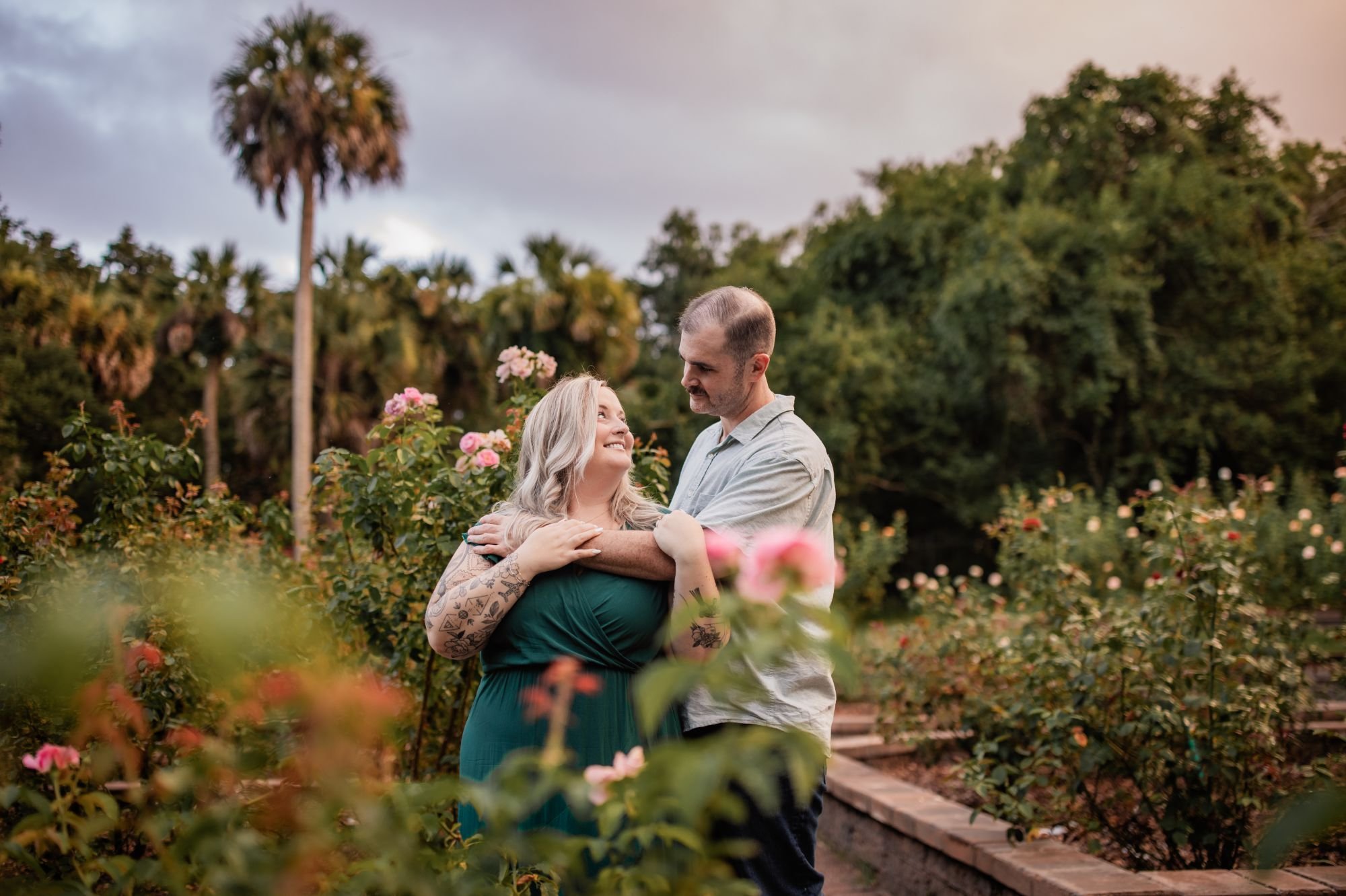 Engaged couple cuddling together among pink roses in the Washington Oaks rose garden.
