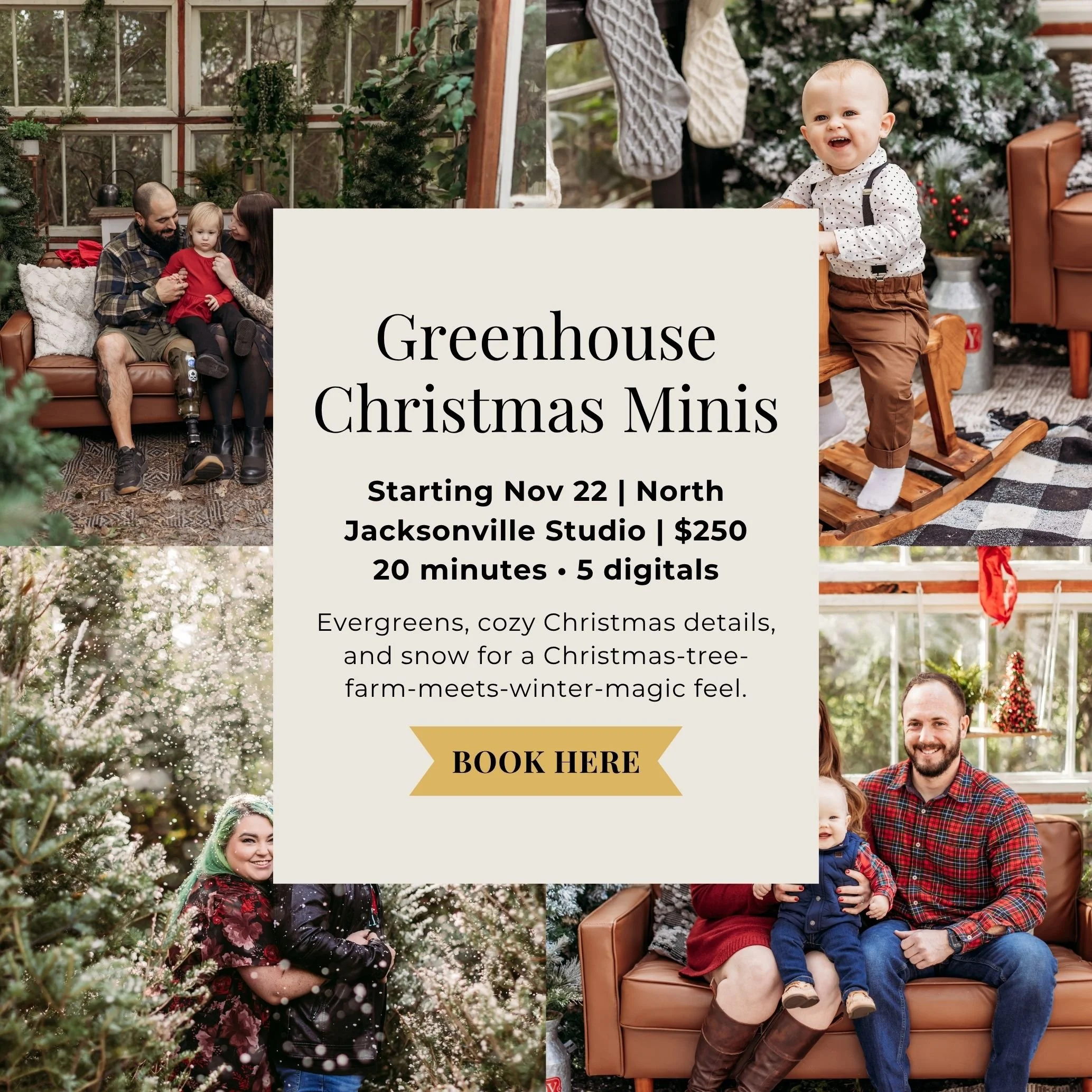 Jacksonville Christmas mini sessions in a private greenhouse with Christmas trees and falling snow.