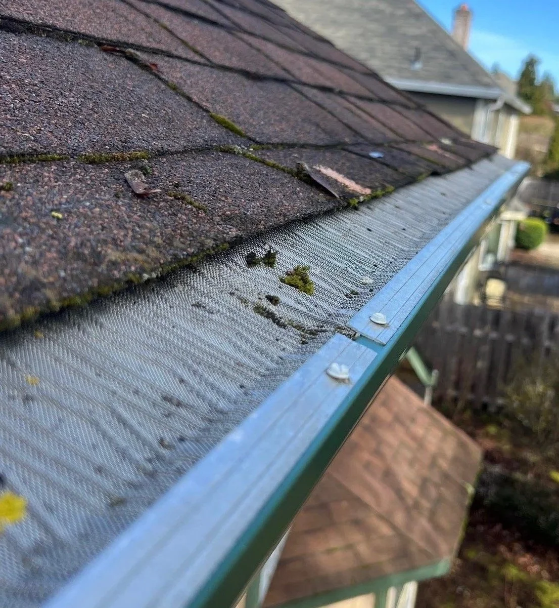 LeafBlaster gutter guard protecting gutters from debris