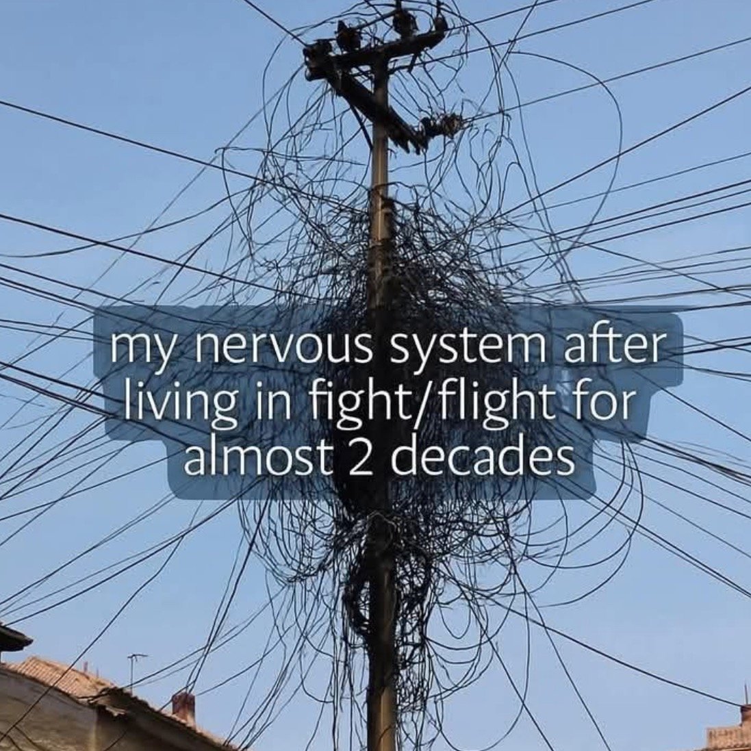 🌿 Regulated June &ndash; 30 Days of 30 Ways to calm a frazzled nervous system. 

Day 6

You don&rsquo;t need fixing. 

You need to stop judging yourself.

There&rsquo;s a kind of stress that doesn&rsquo;t show up on blood tests. 

It&rsquo;s the qui