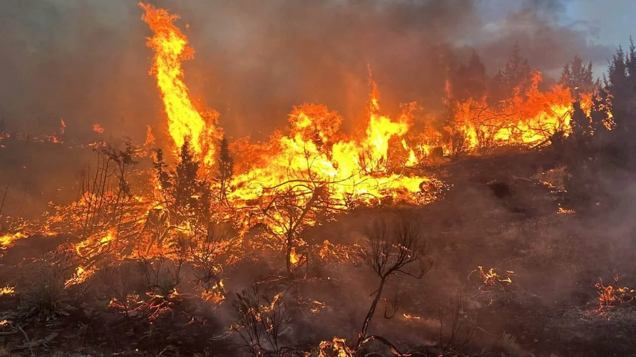 Wildfires Oregon 2026 wildfire smoke lung health