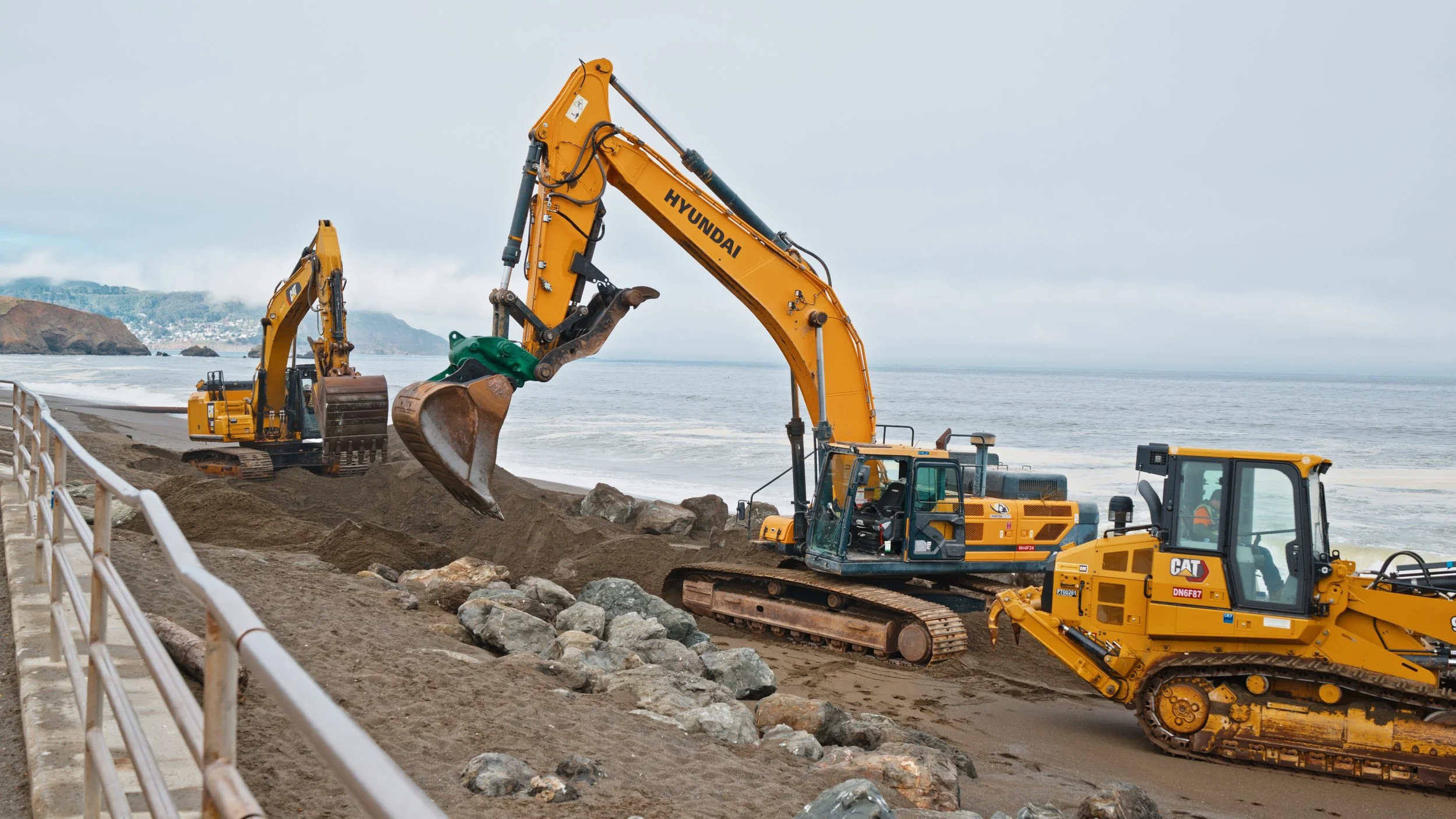 Big CATs digging in the sand, 6/13/26