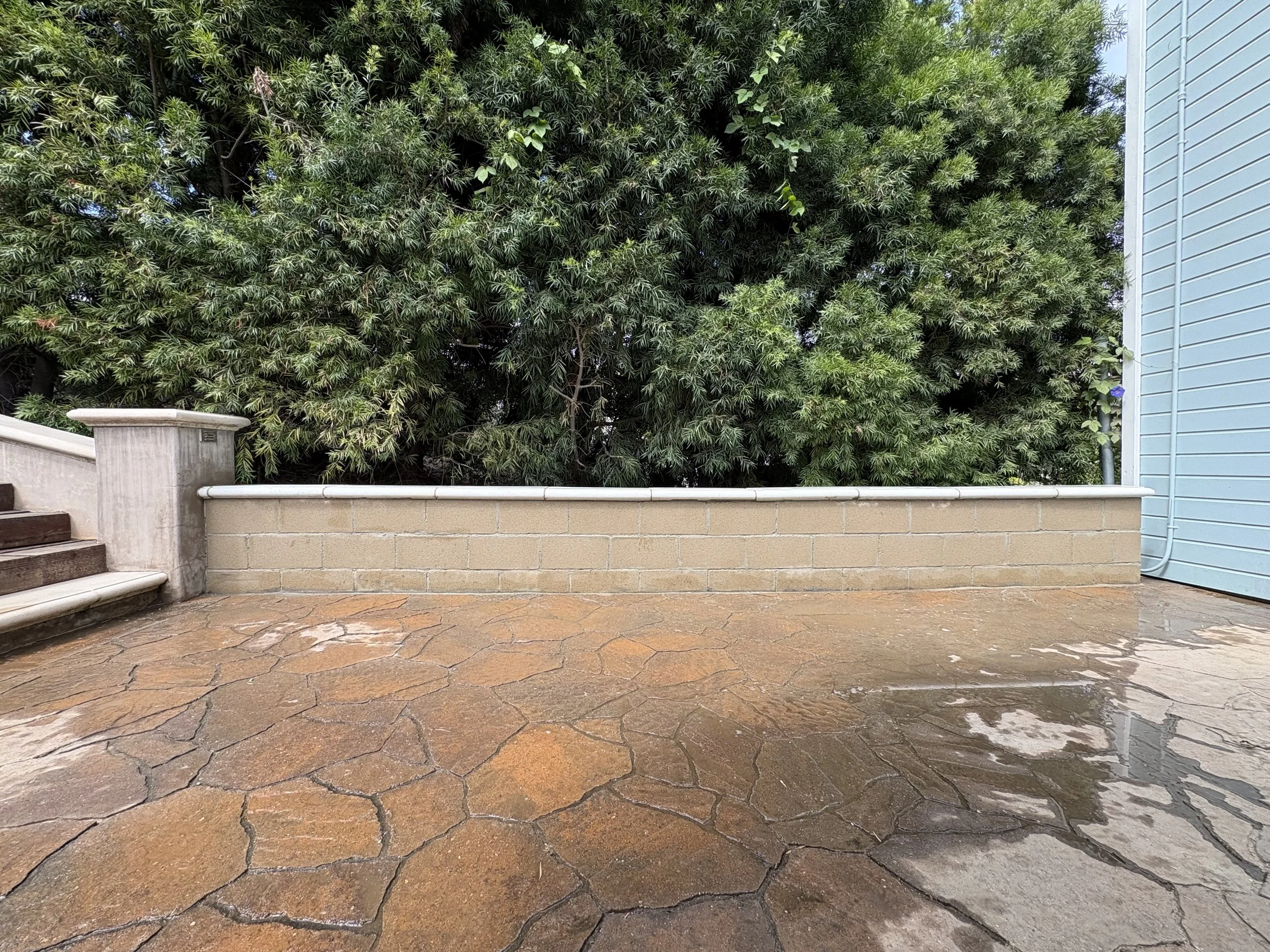 Final wall with capstones to match rest of yard