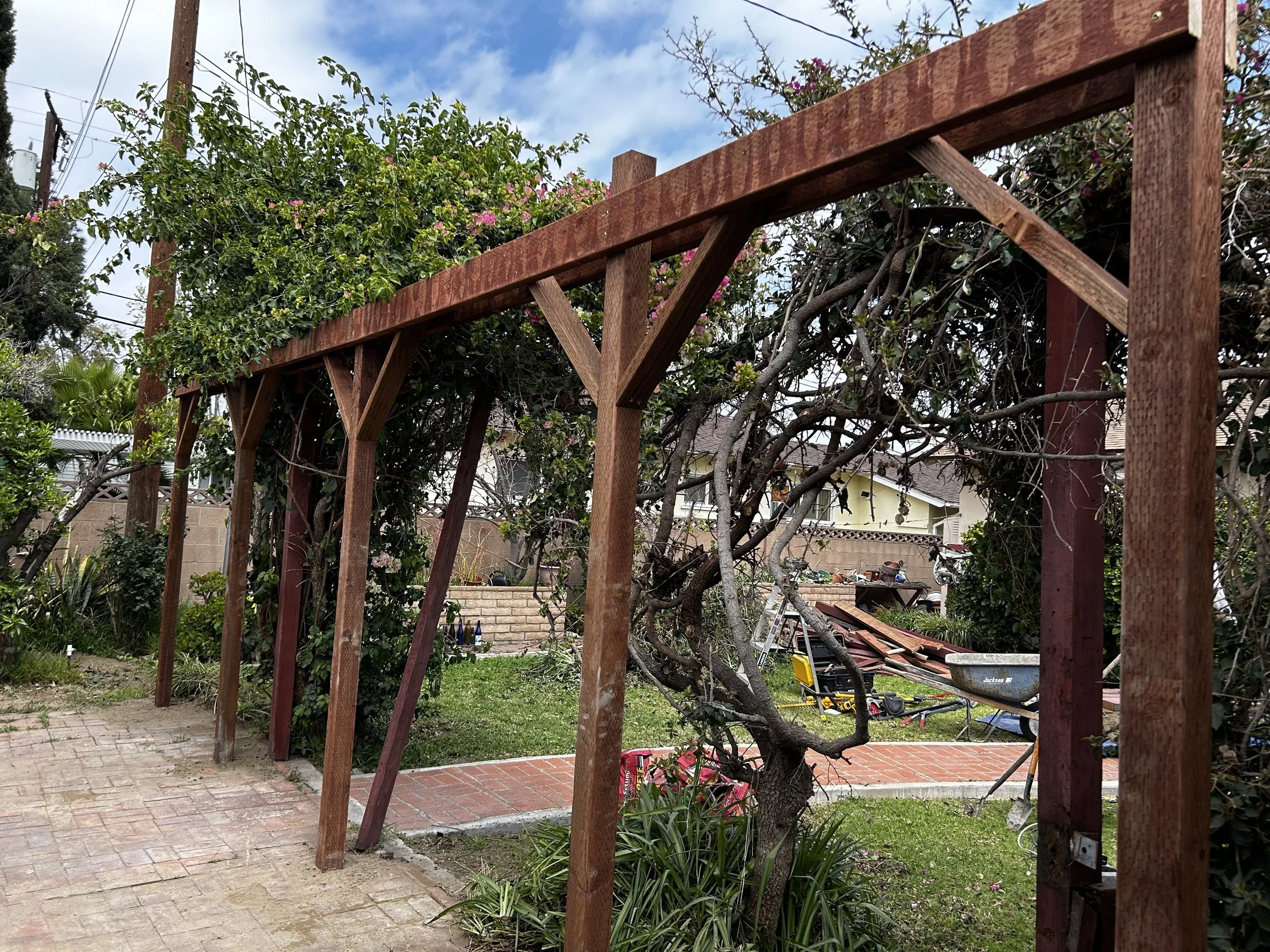 Pressure treated wood used to ensure long life of new pergola.
