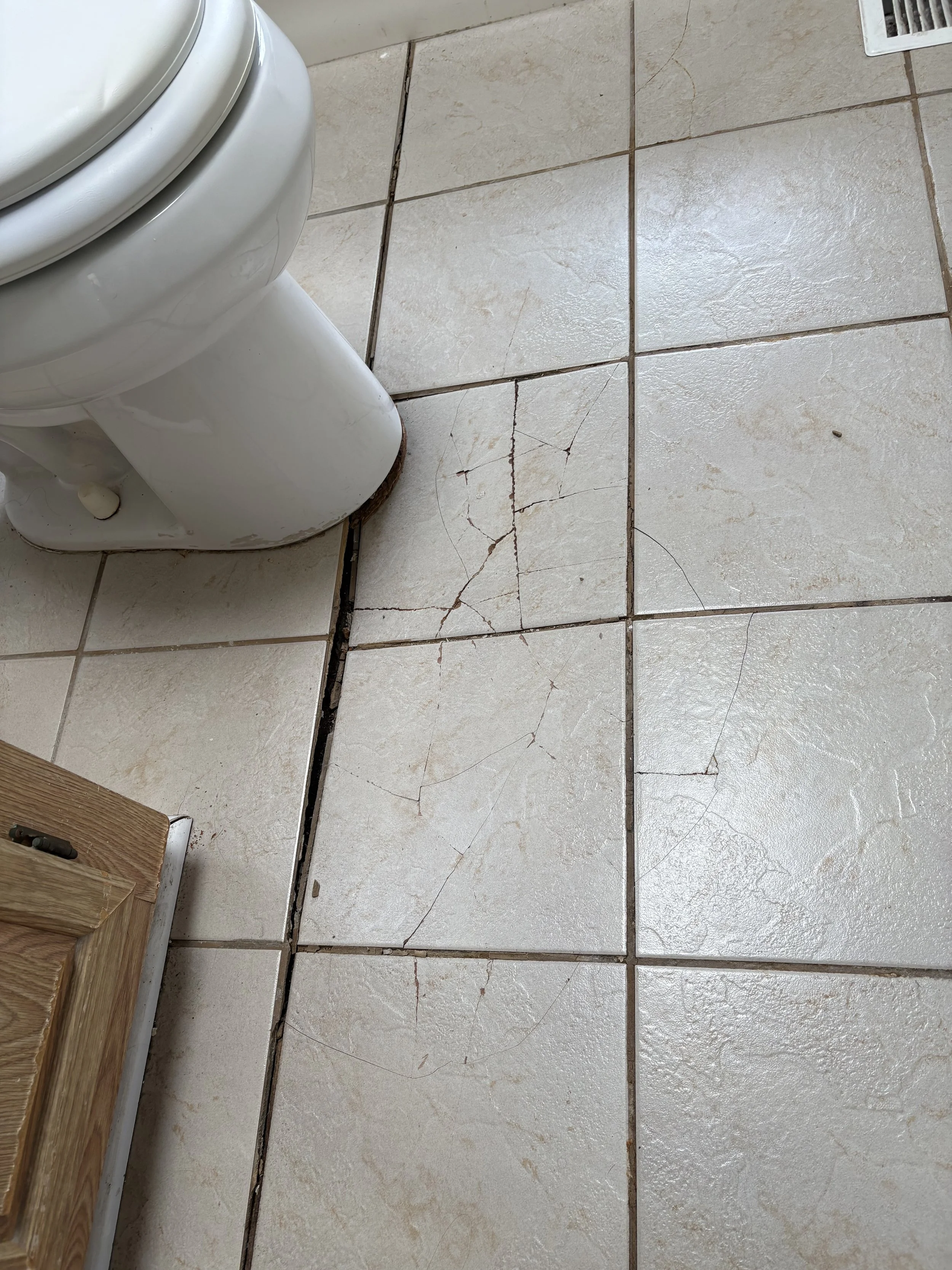 Bathroom tile and subfloor replacement | Damaged bathroom subfloor and tile